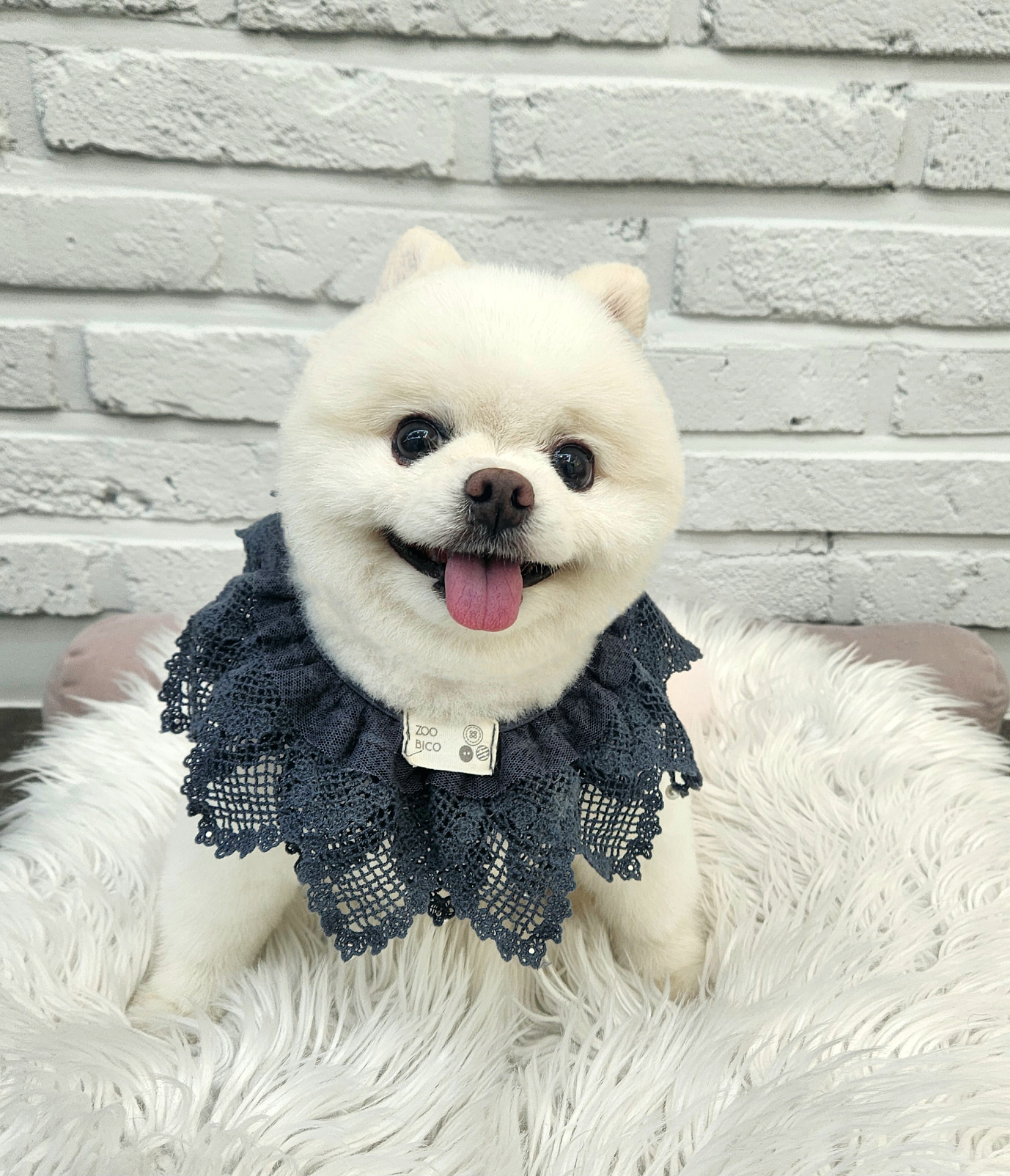 우리몽 대표 이미지