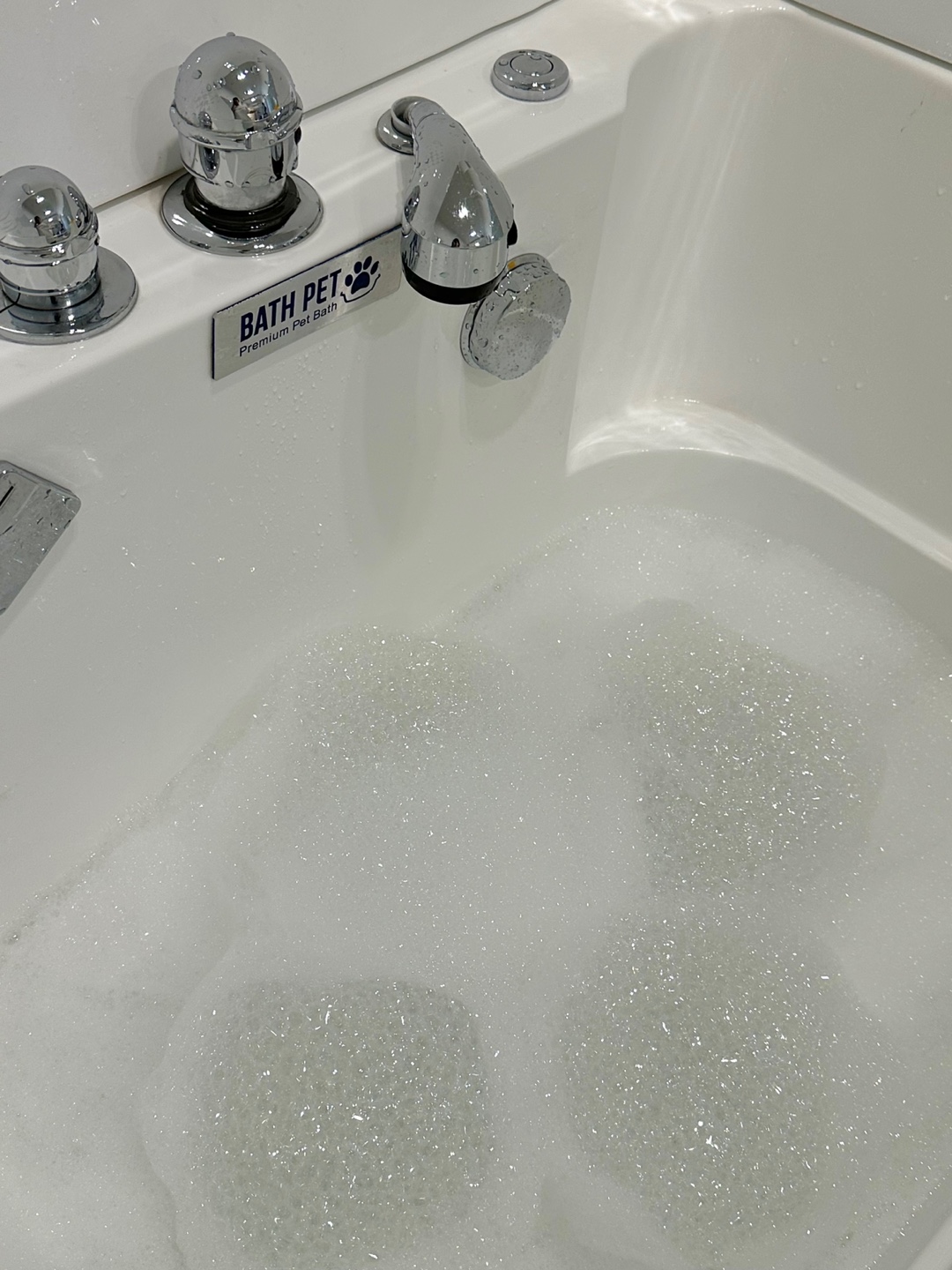 몽글몽글 반려견 유치원 대표 이미지