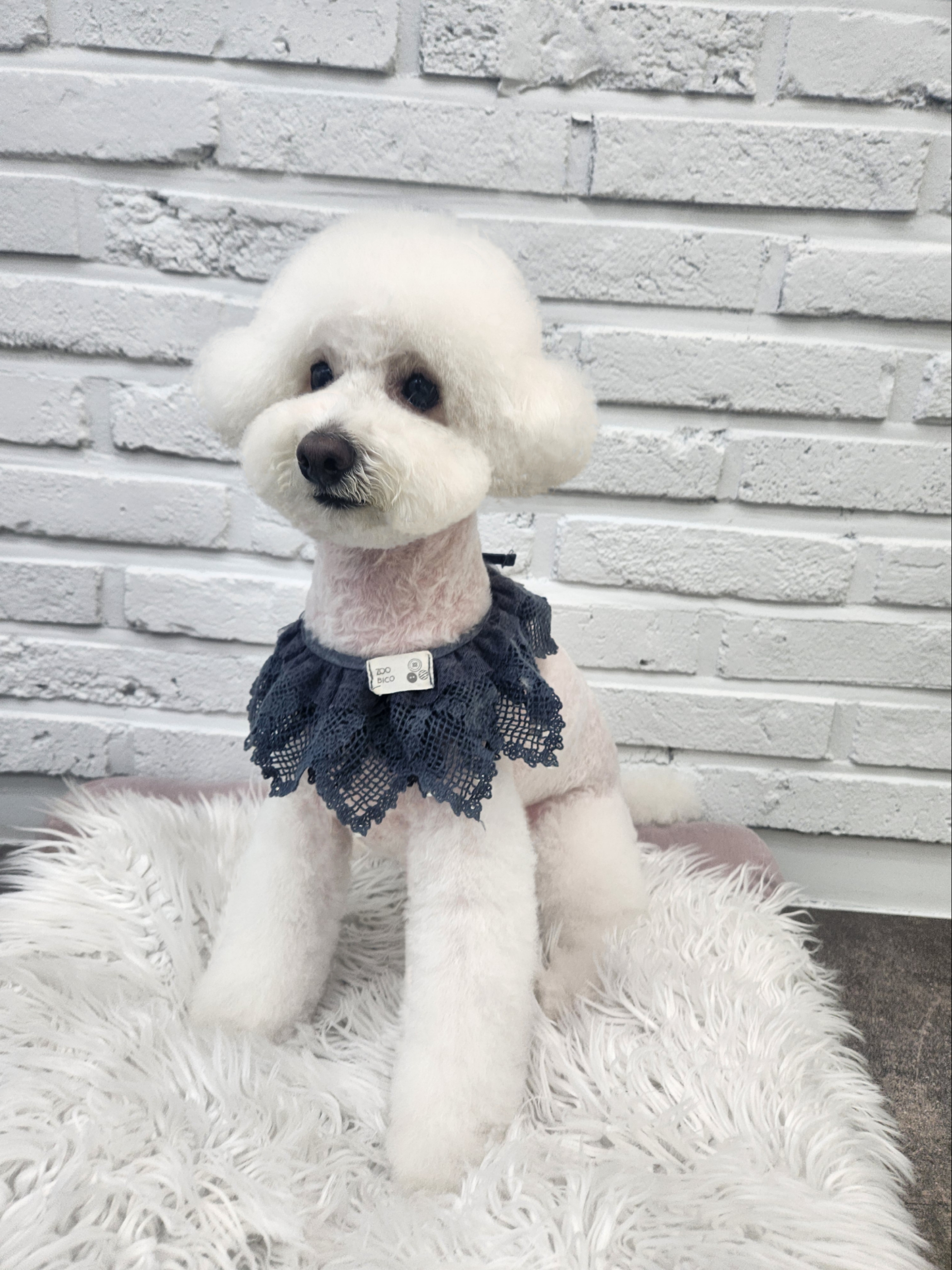우리몽 대표 이미지