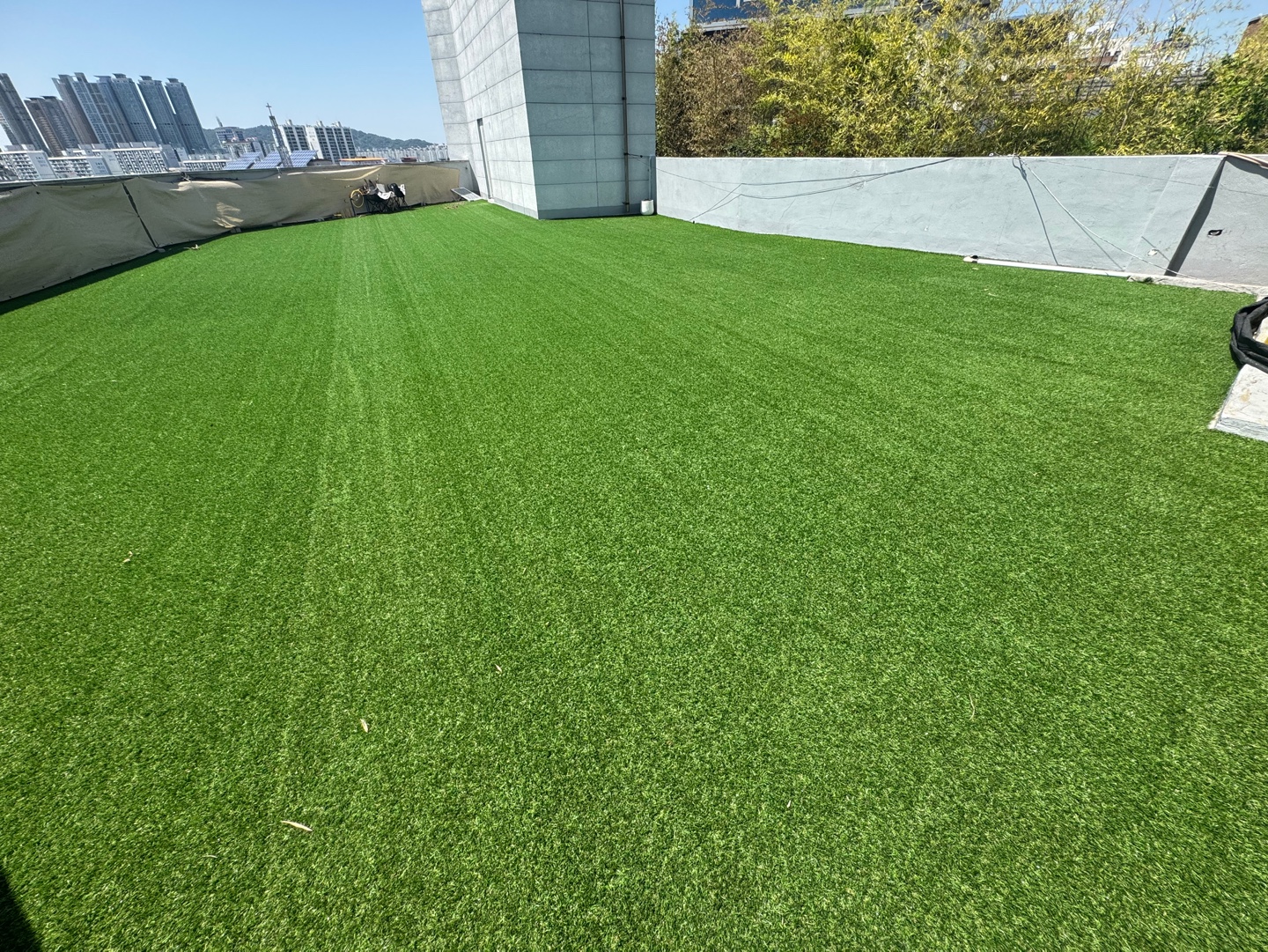 몽글몽글 반려견 유치원 대표 이미지