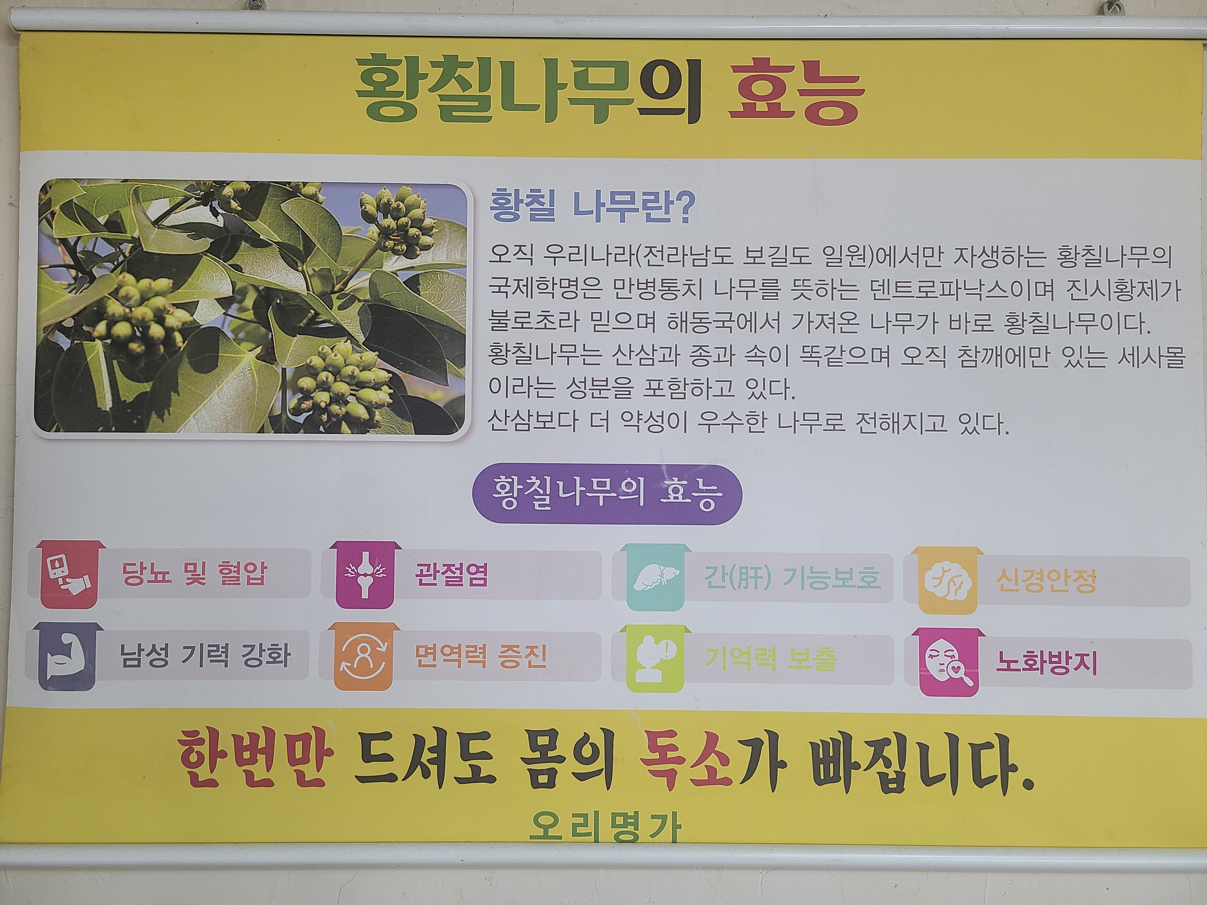 오리명가 2