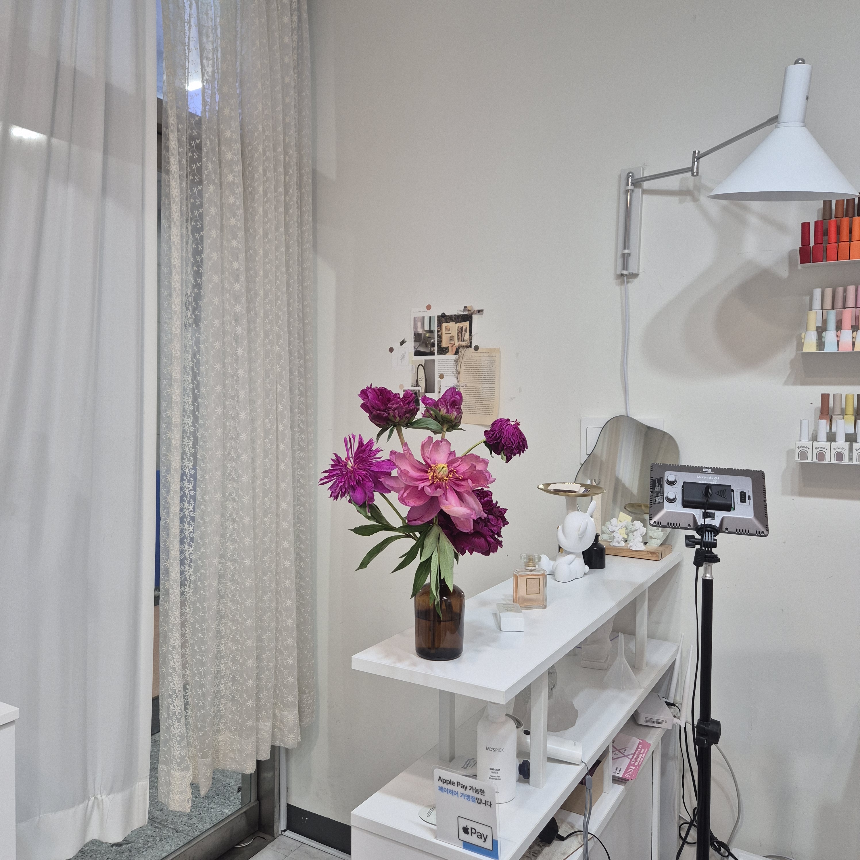 단니네일 대표 이미지