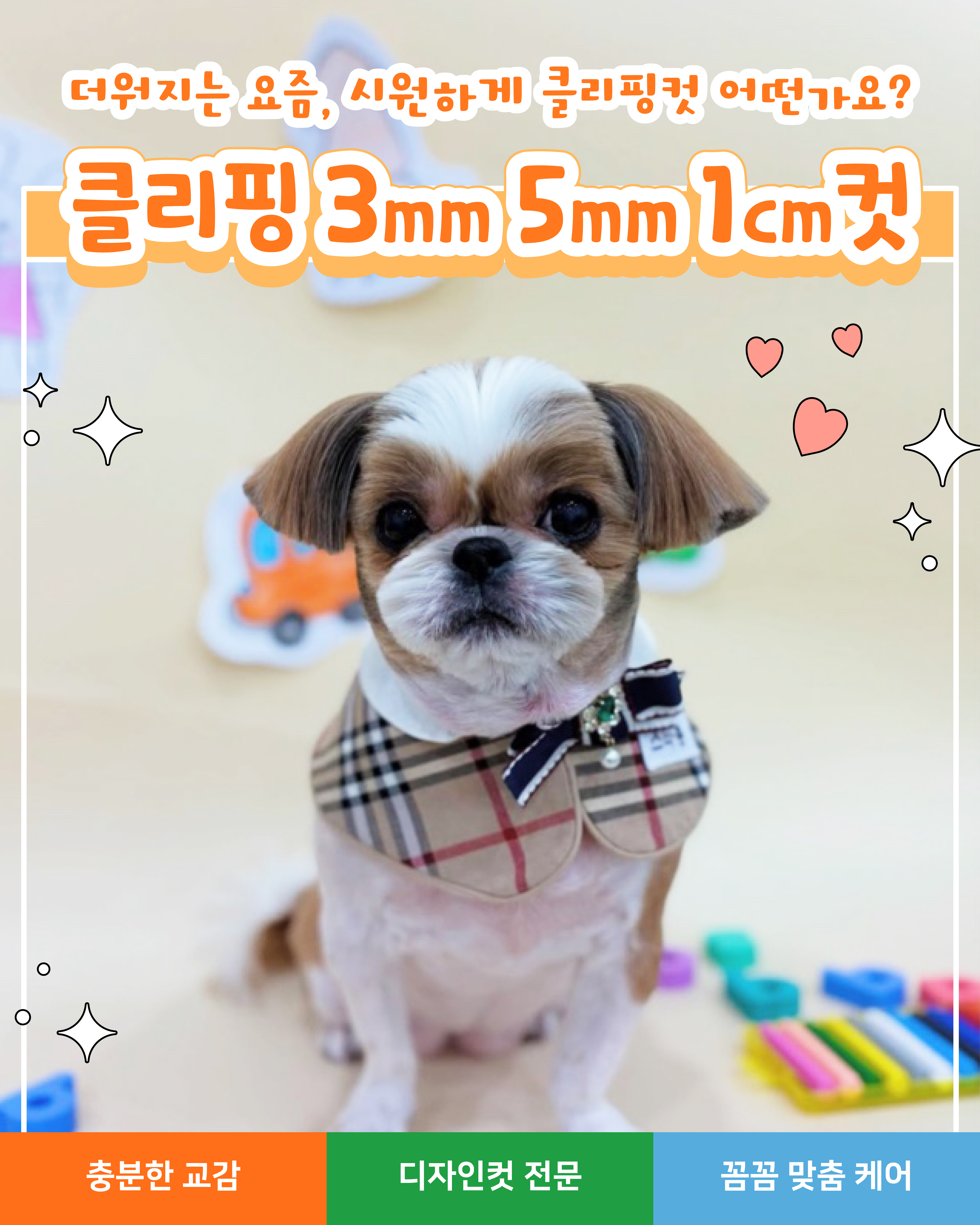 스타몽 강아지유치원&애견호텔&애견미용 대표 이미지