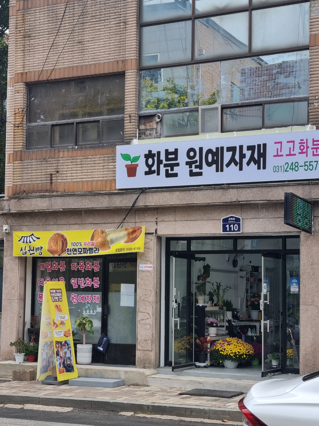 고고화분원예자재