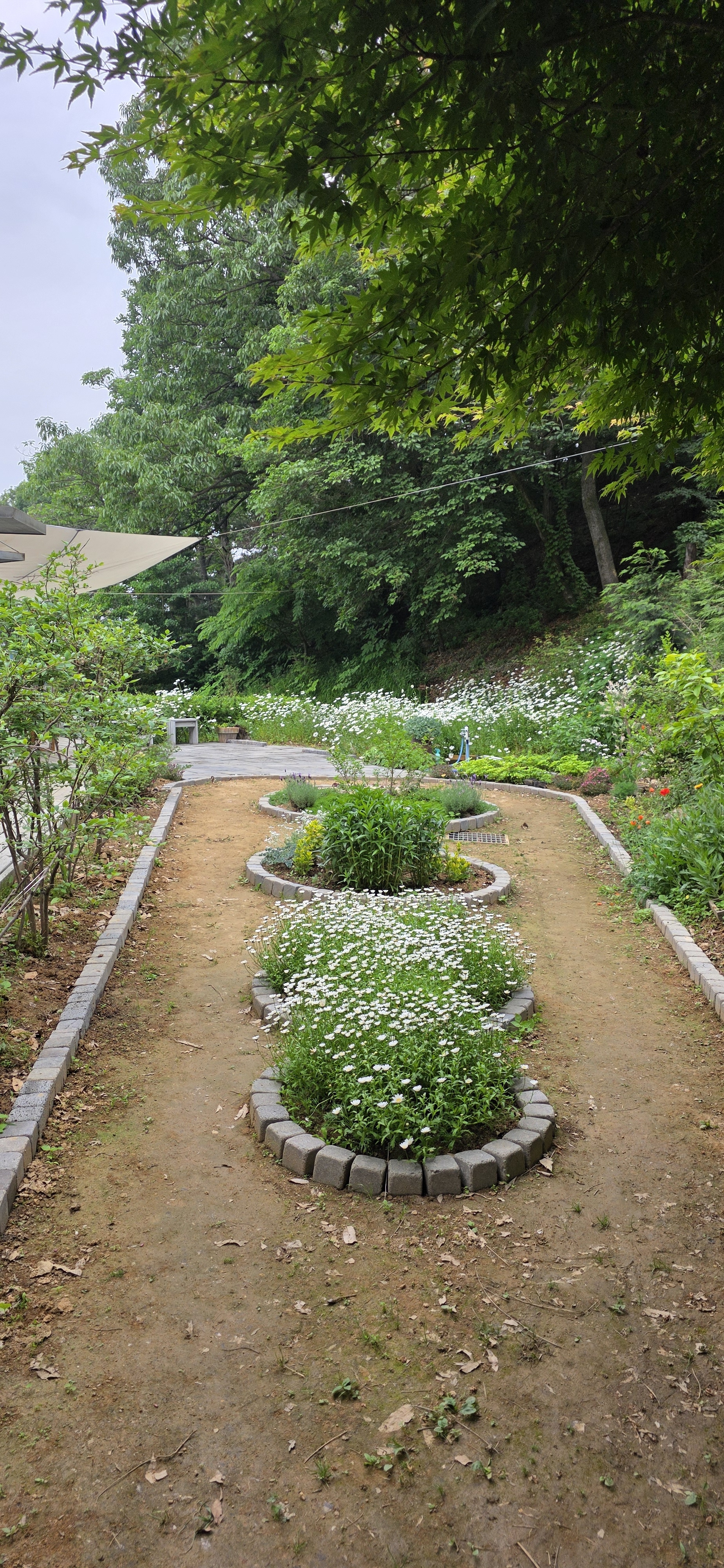 이흥용커피공방 설명사진