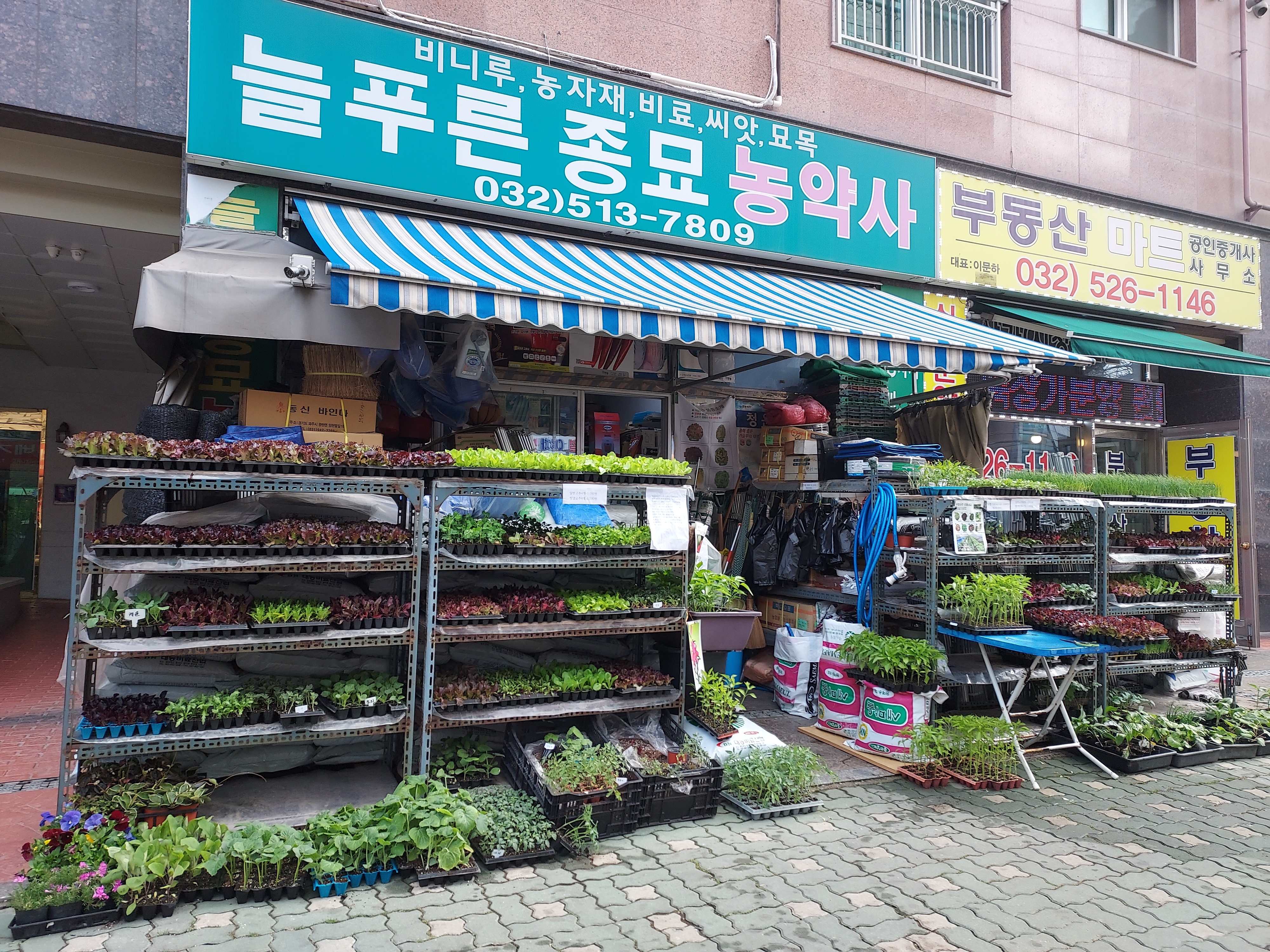늘푸른종묘농약사