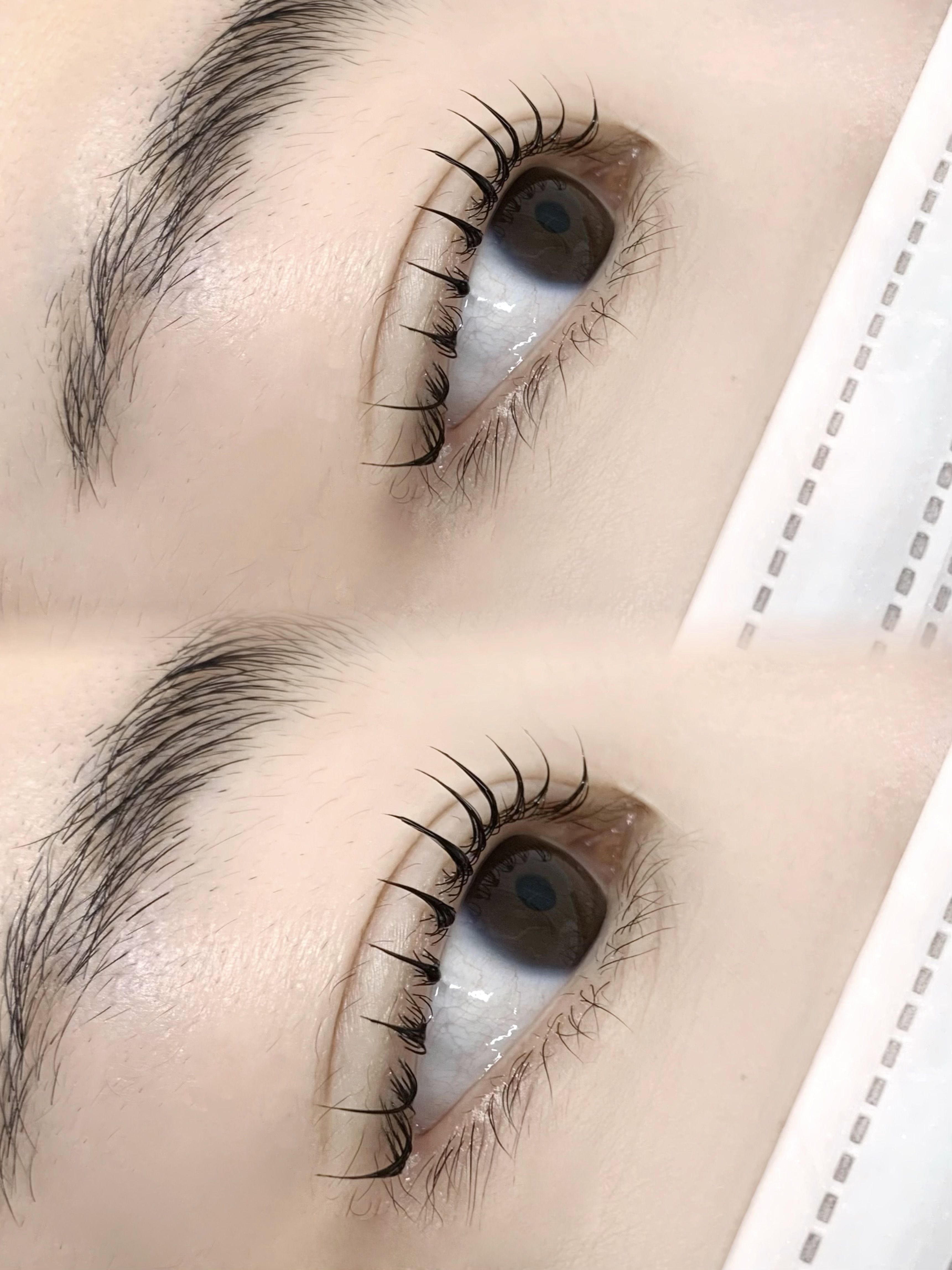 모코브로우 대표 이미지