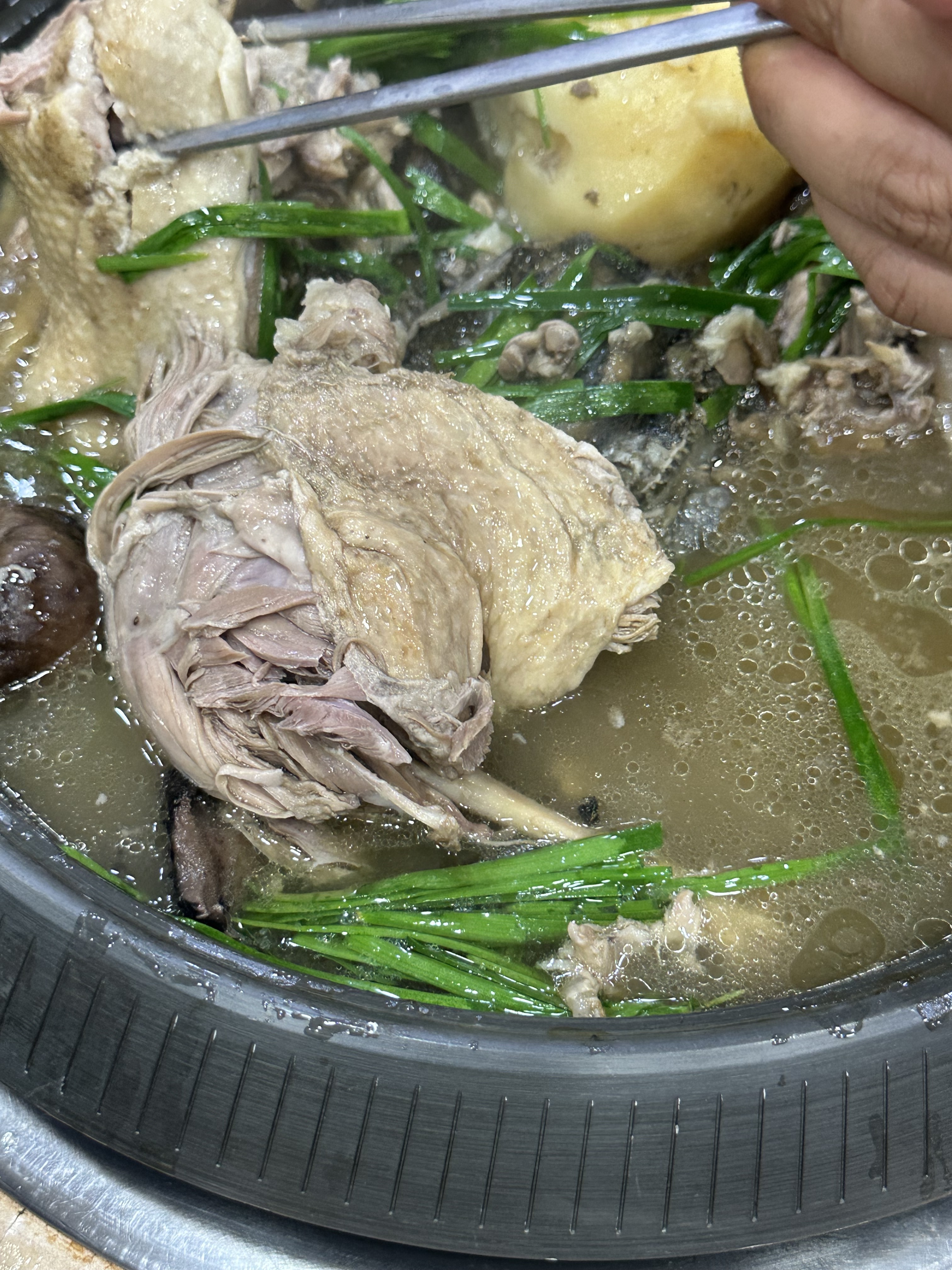 남창생오리