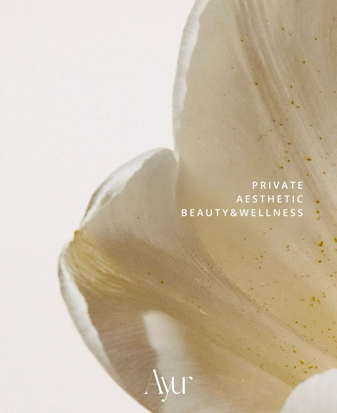 아유르 대표 이미지