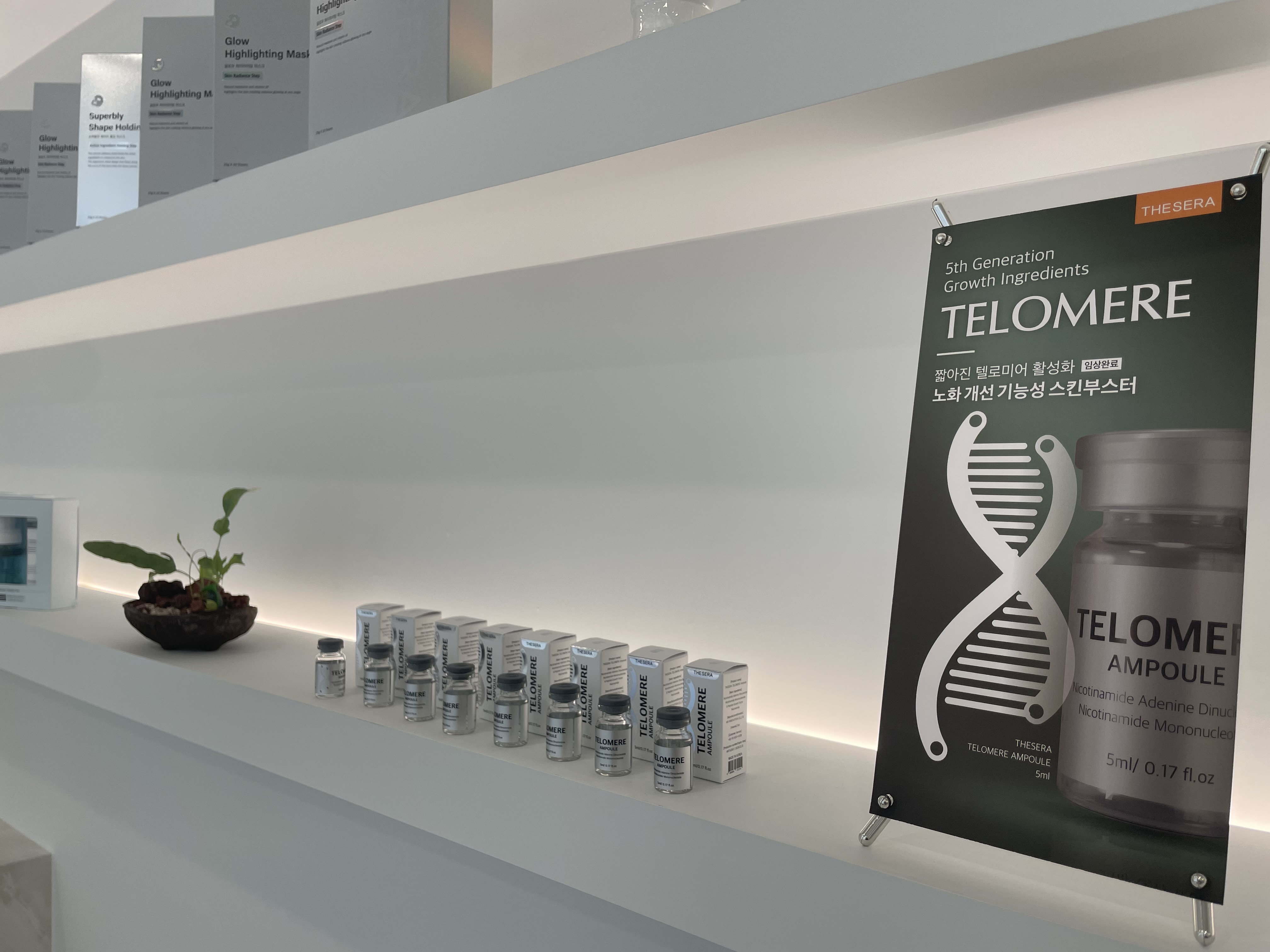 라엔느 대표 이미지