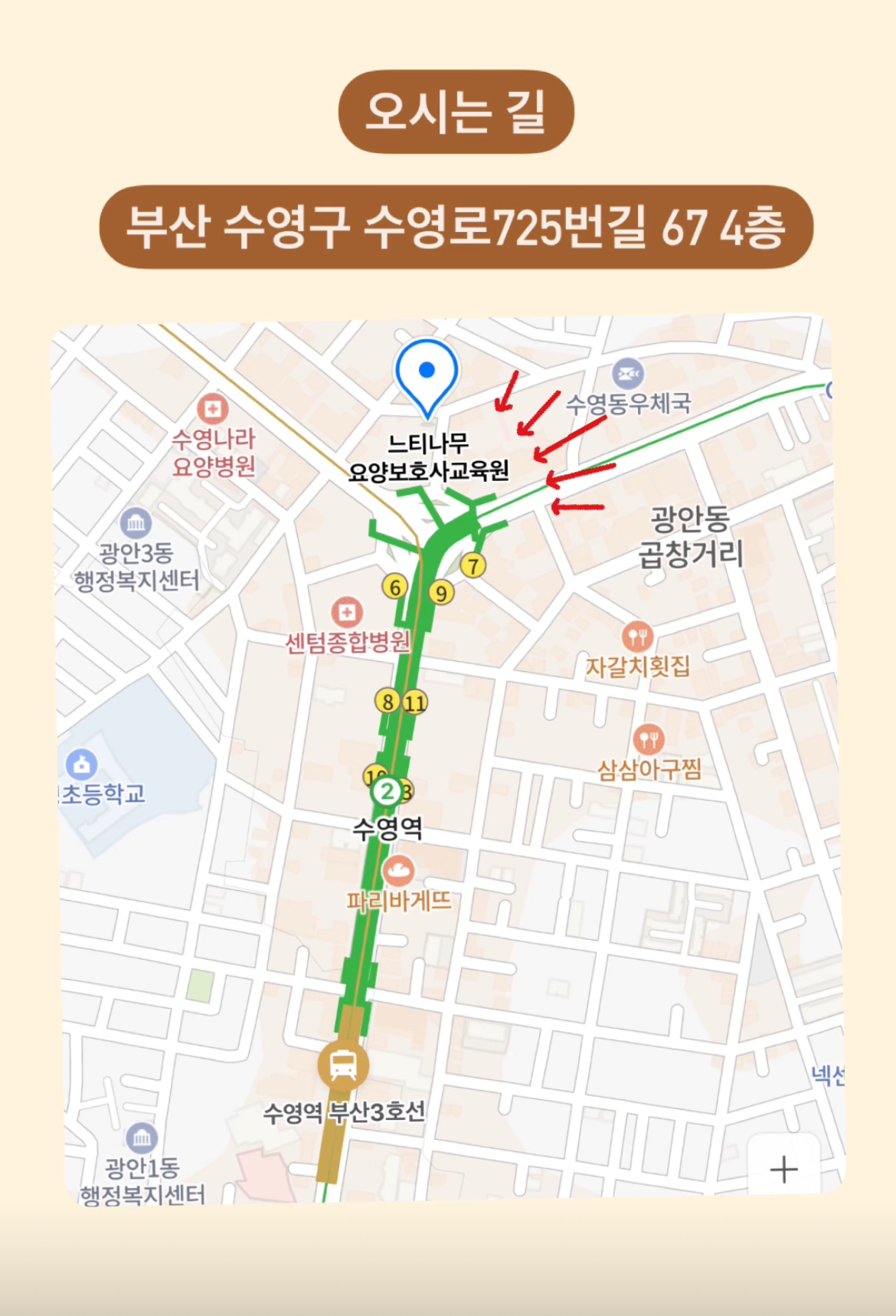느티나무 요양보호사교육원