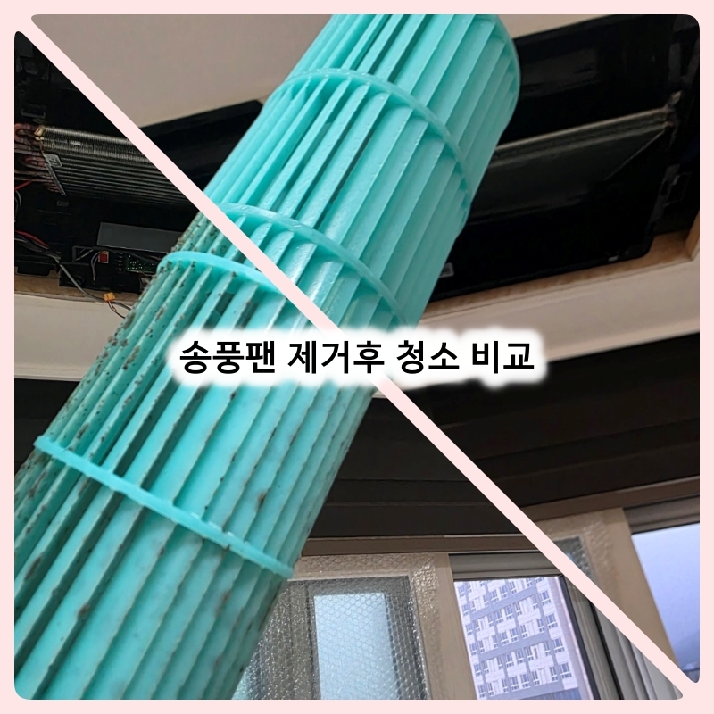 더하다홈케어