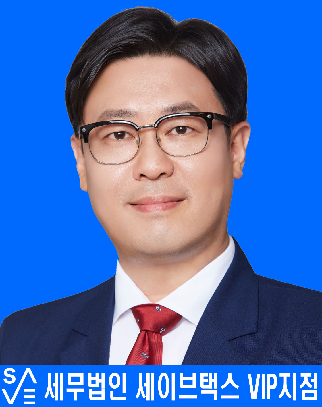 세무법인 세이브택스 브이아이피지점