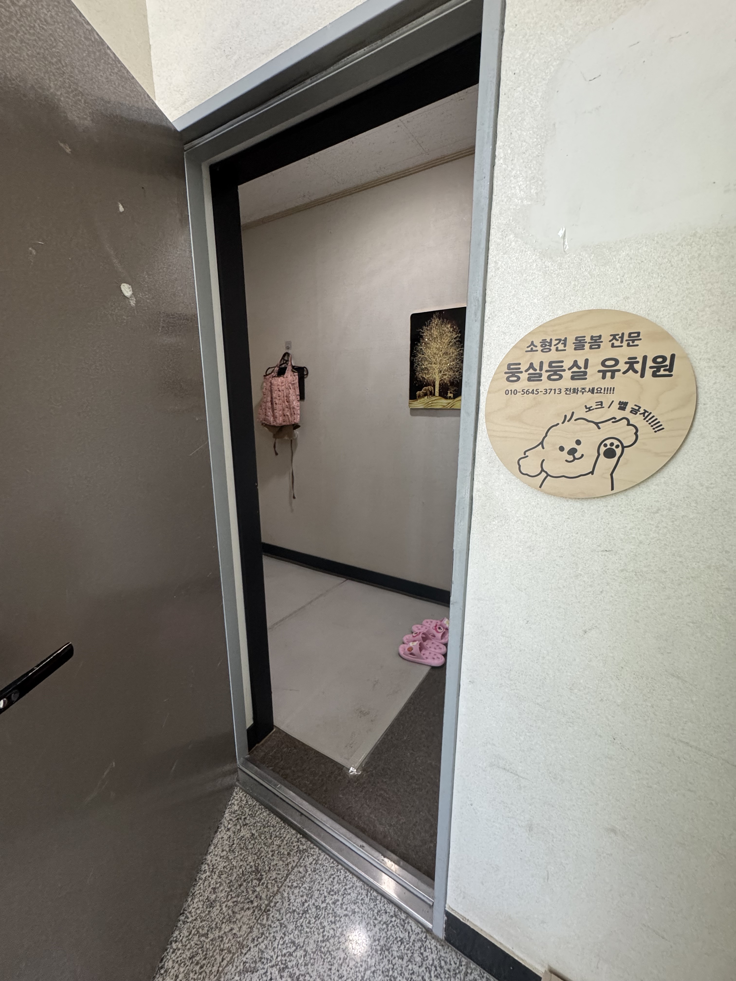 둥실둥실 애견유치원 대표 이미지