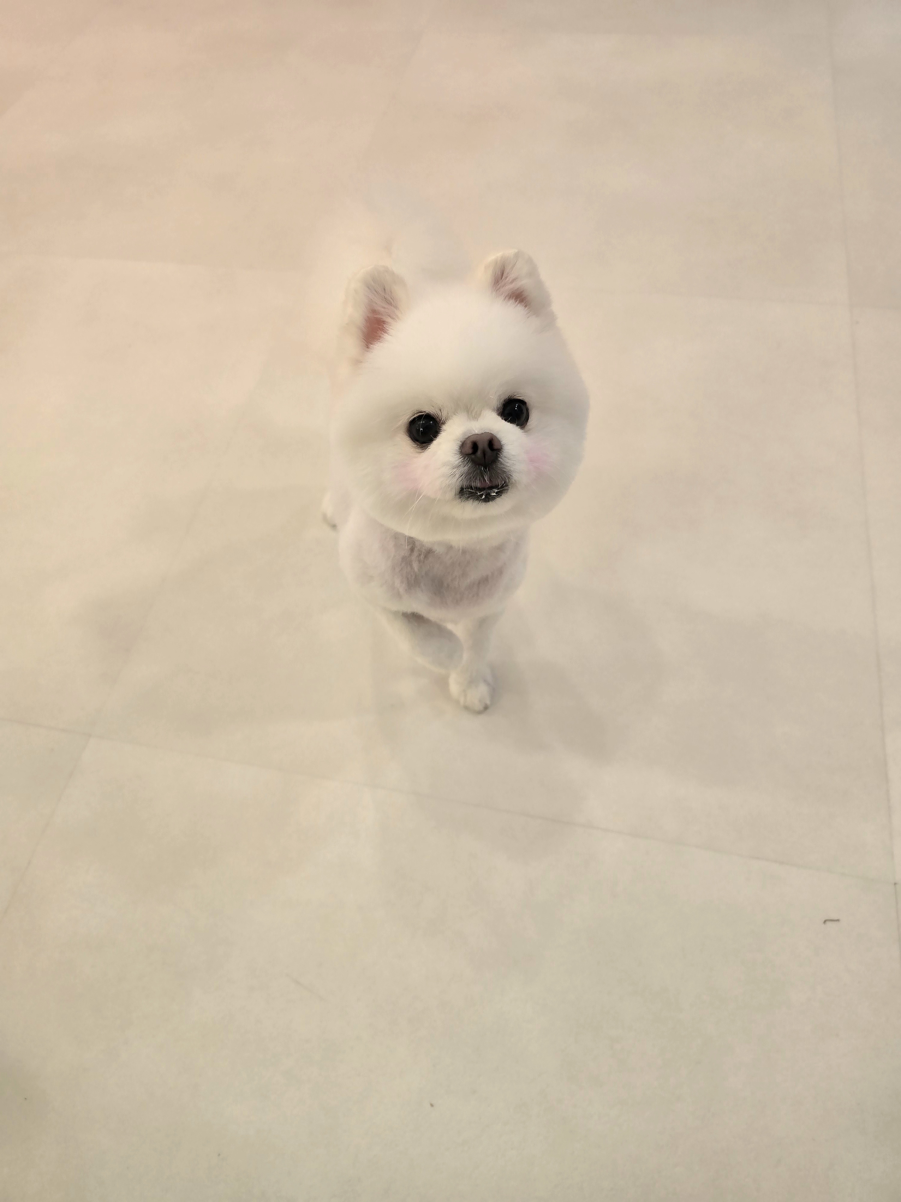 안녕,애기 대표 이미지