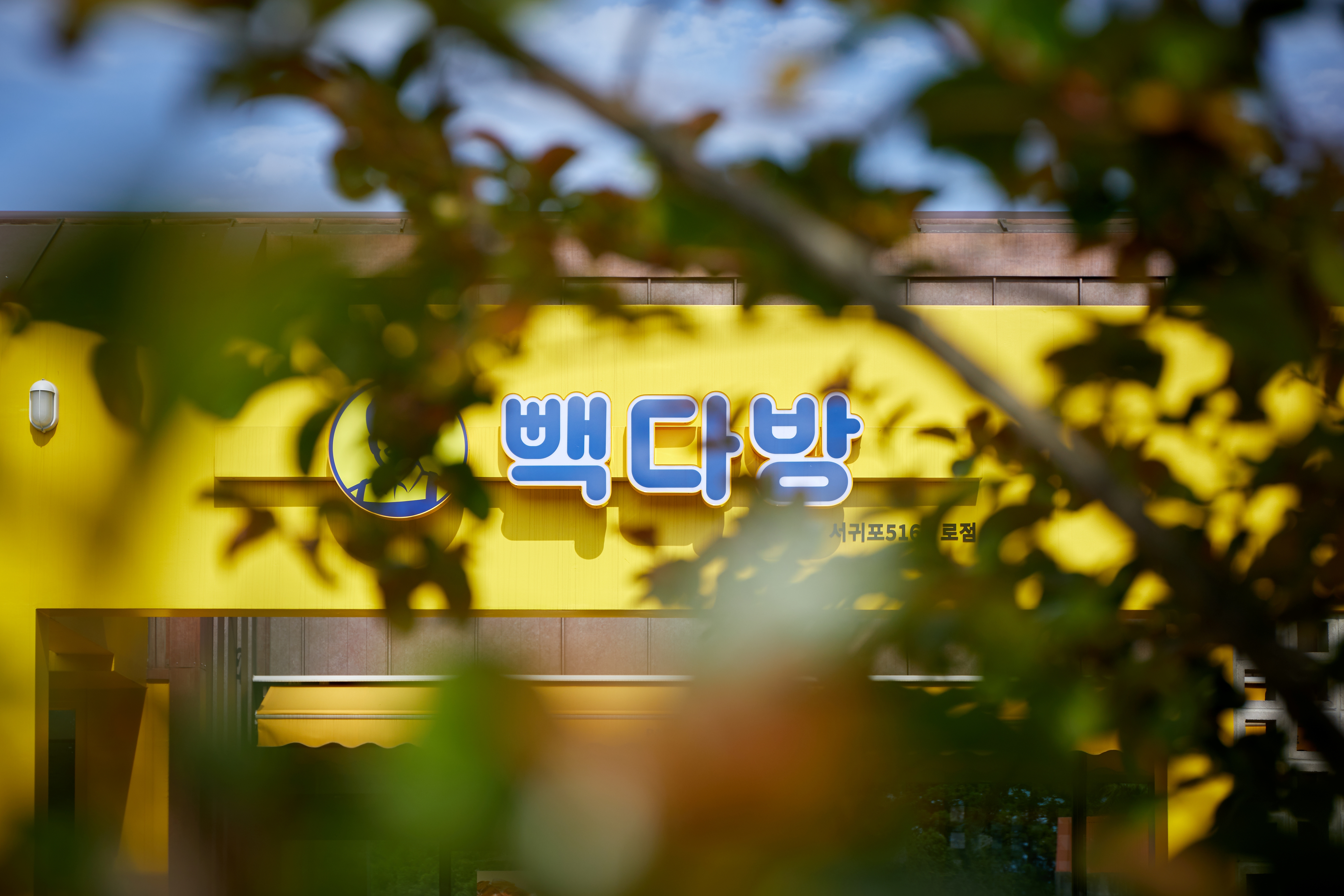 빽다방 서귀포516로점