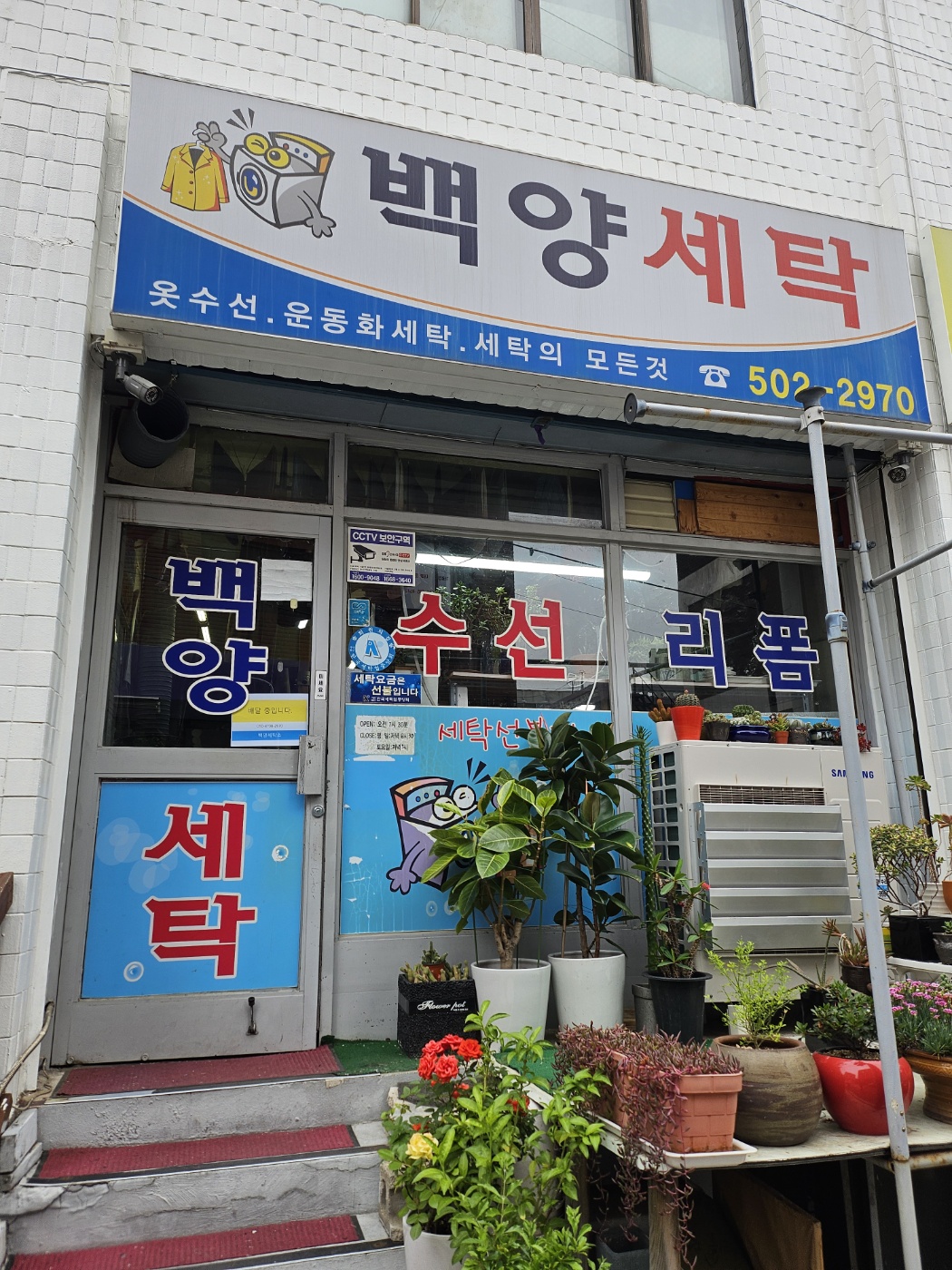 백양세탁소