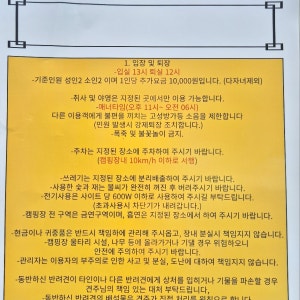 대이산숲속캠핑장