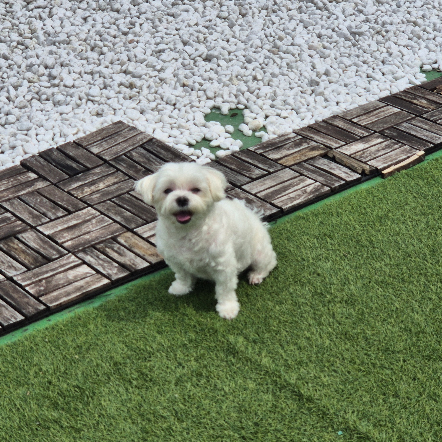 펫케어메이트 대표 이미지