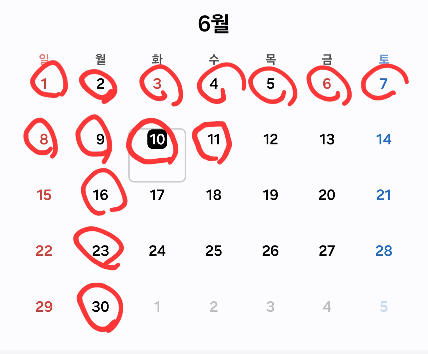 핏쩨리아 아도로