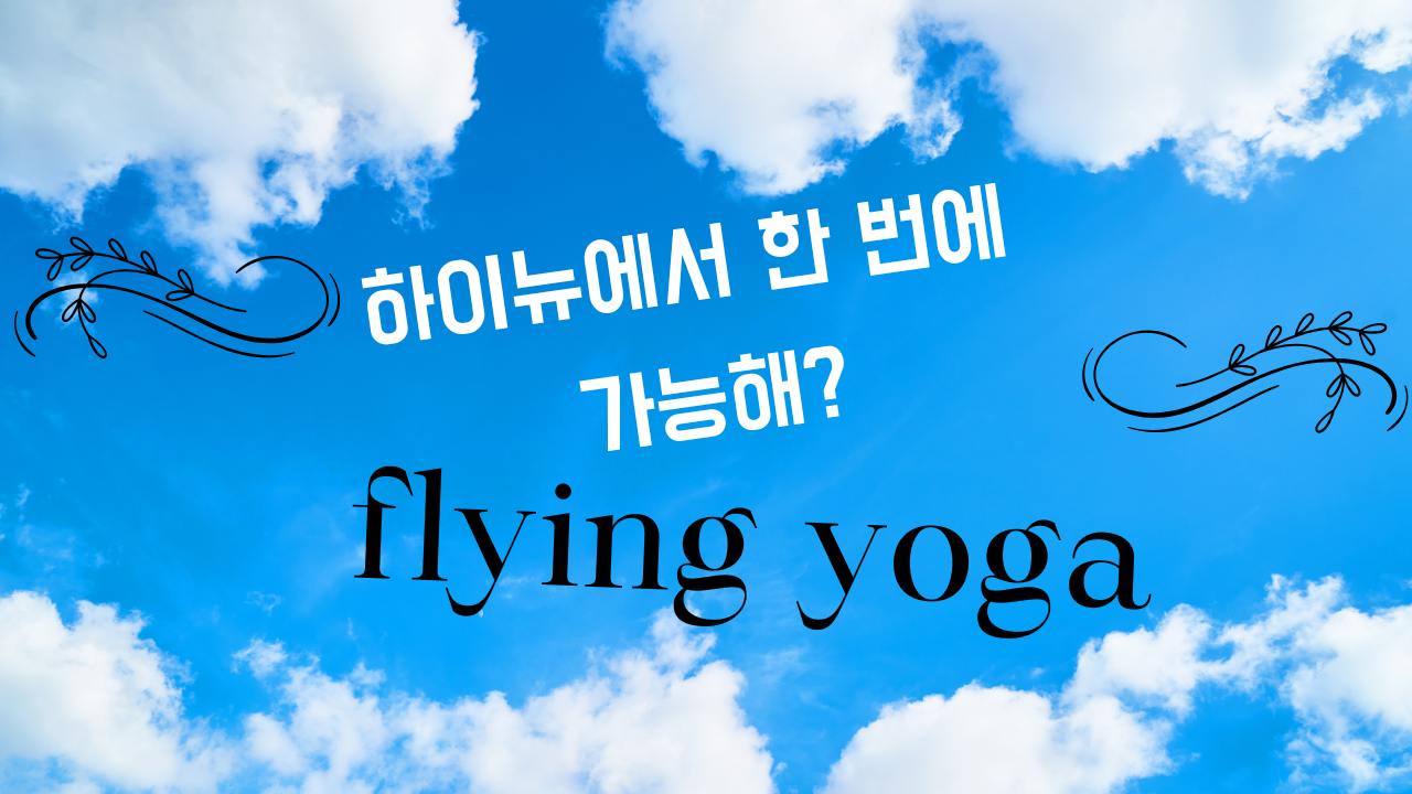하이뉴필라테스 플라잉요가 동탄센트럴파크점