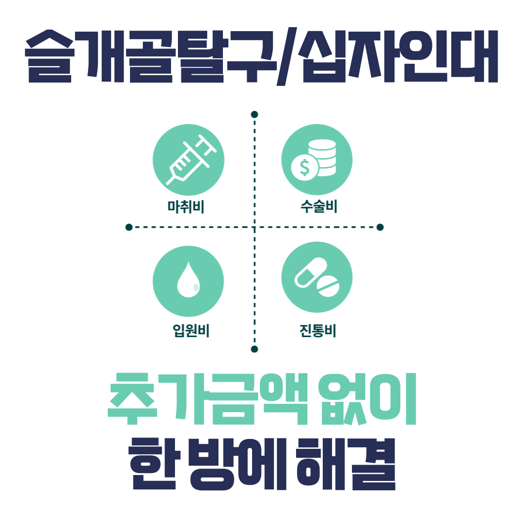 24시 라움동물의료센터