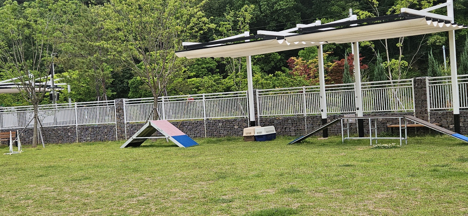 설레임여행사