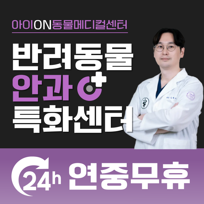 용인24시 아이온동물메디컬센터