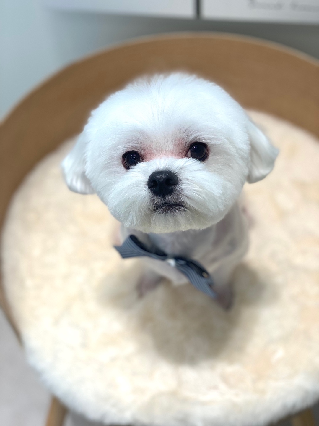 그루밍솔 석관점 대표 이미지