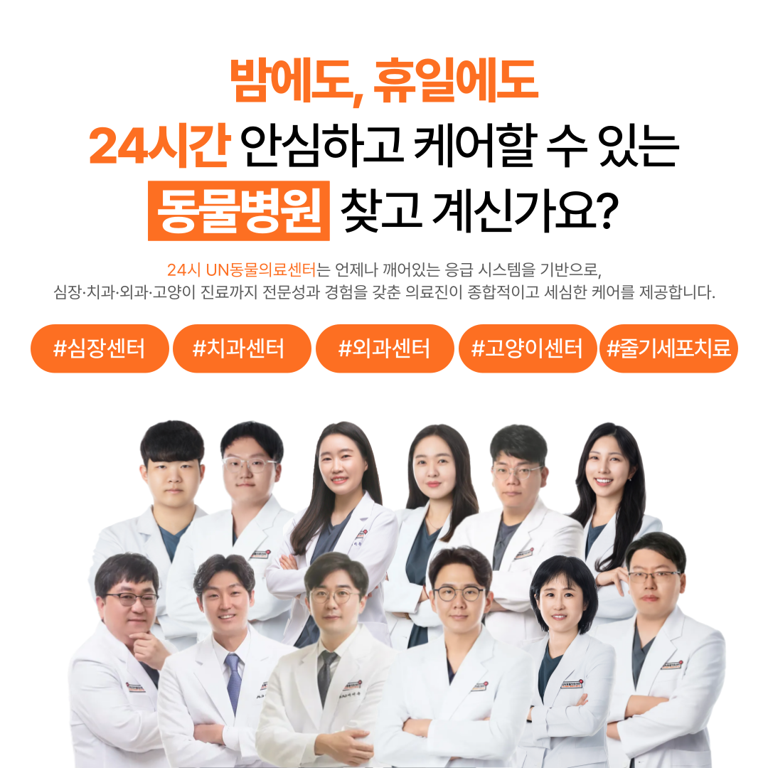 24시 UN동물의료센터 대표 이미지