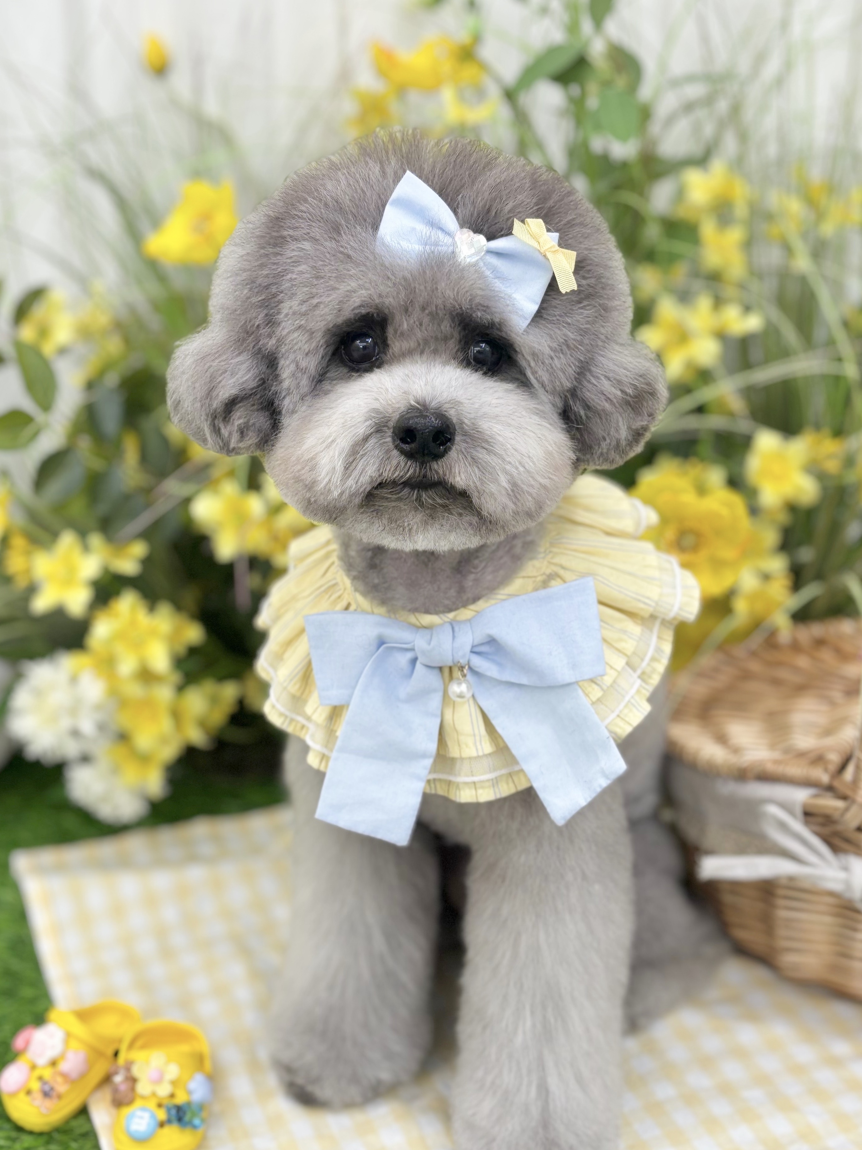 윈썸그루밍 내부 및 미용 모습