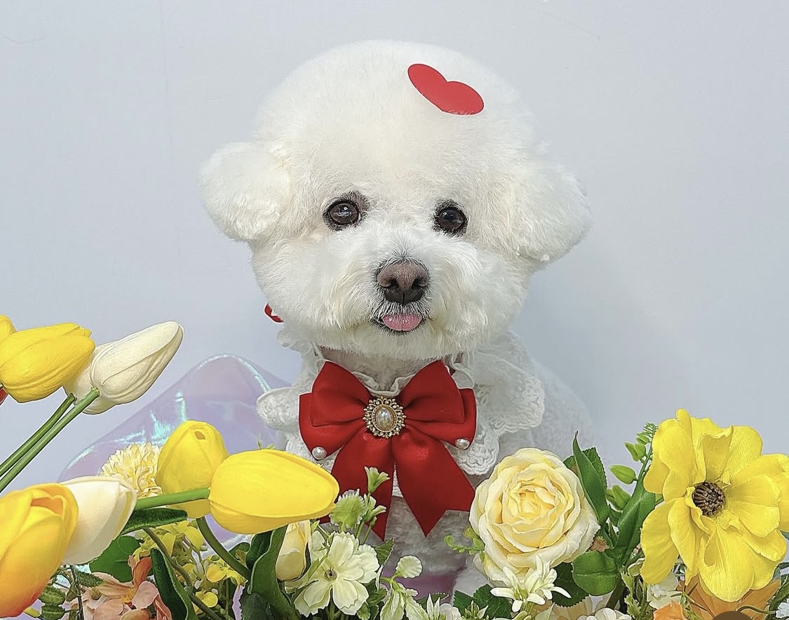 몽개구름 대표 이미지