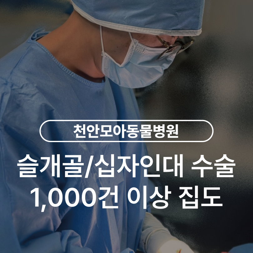 천안모아동물병원