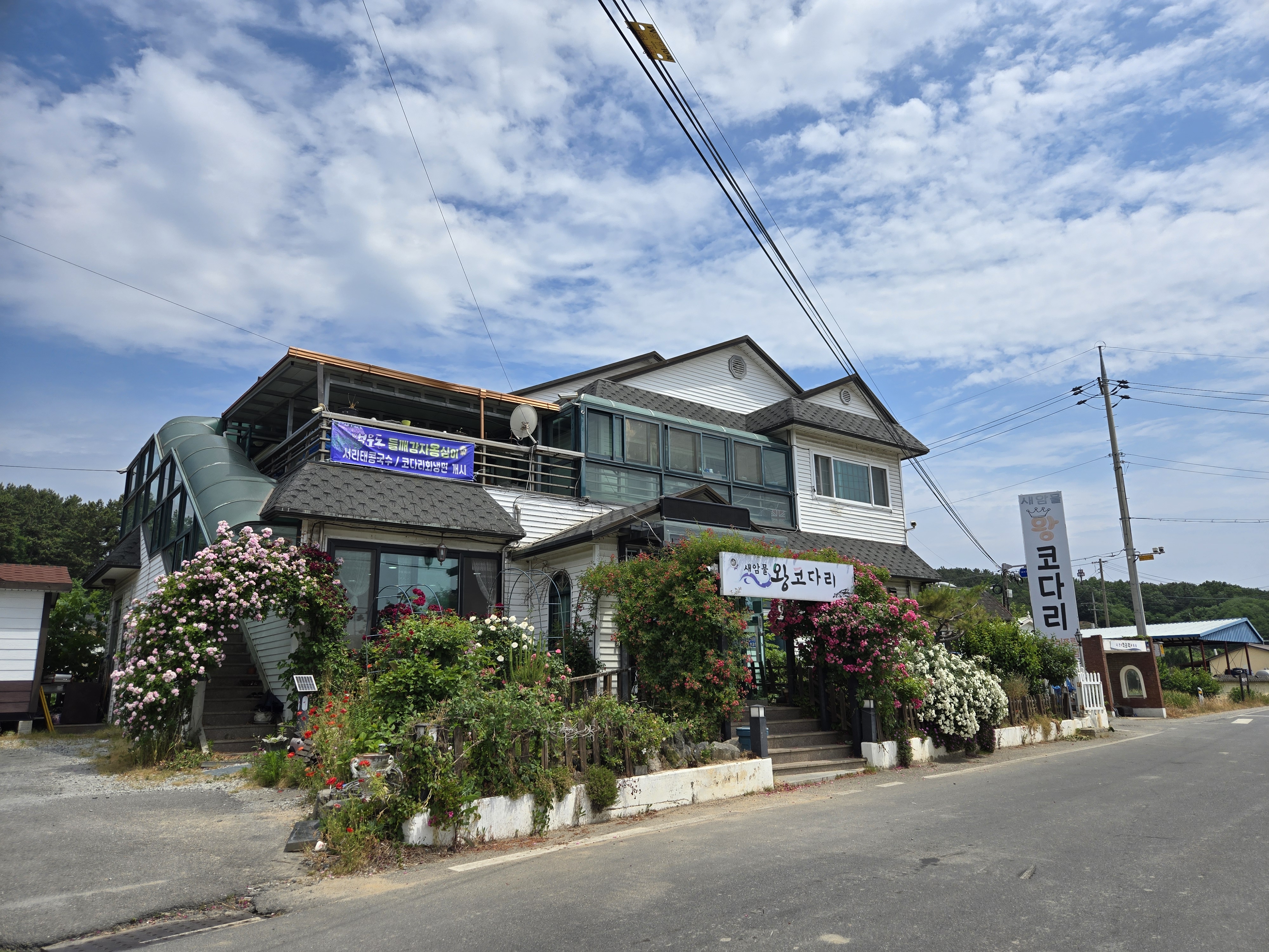 새암물 왕코다리