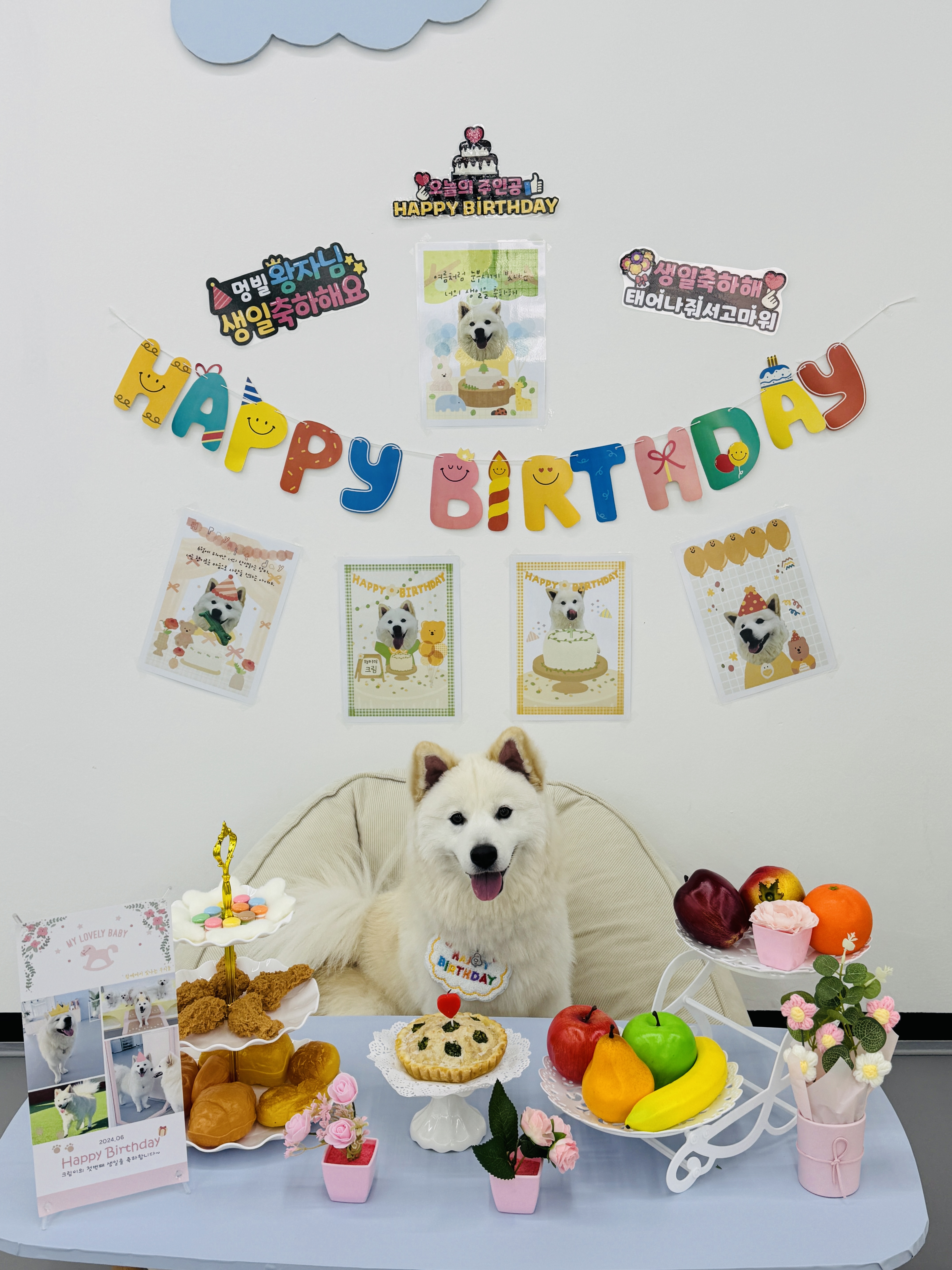 멍뭉빌리지 대표 이미지