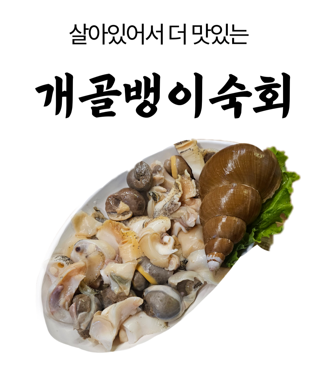 써니야오빠왔다