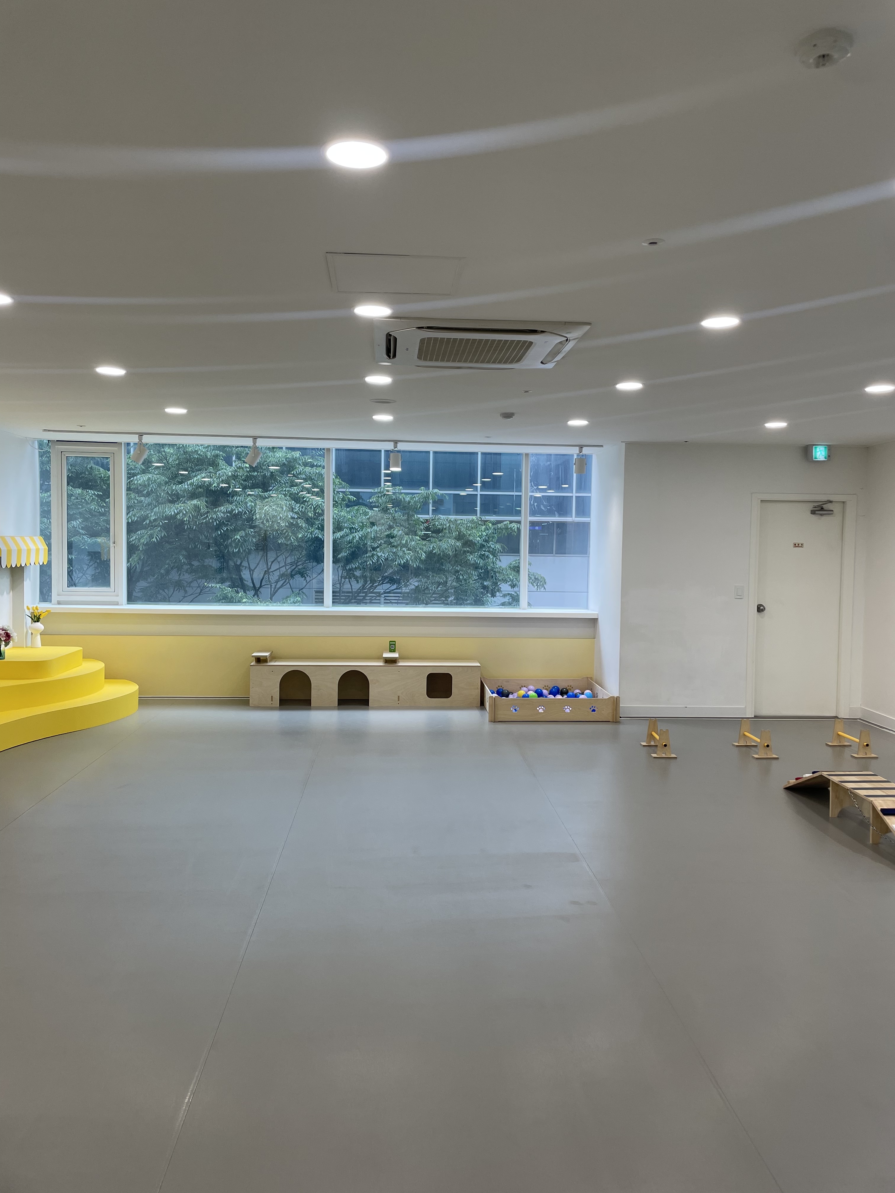 멍타르트 애견카페/유치원&호텔 대표 이미지