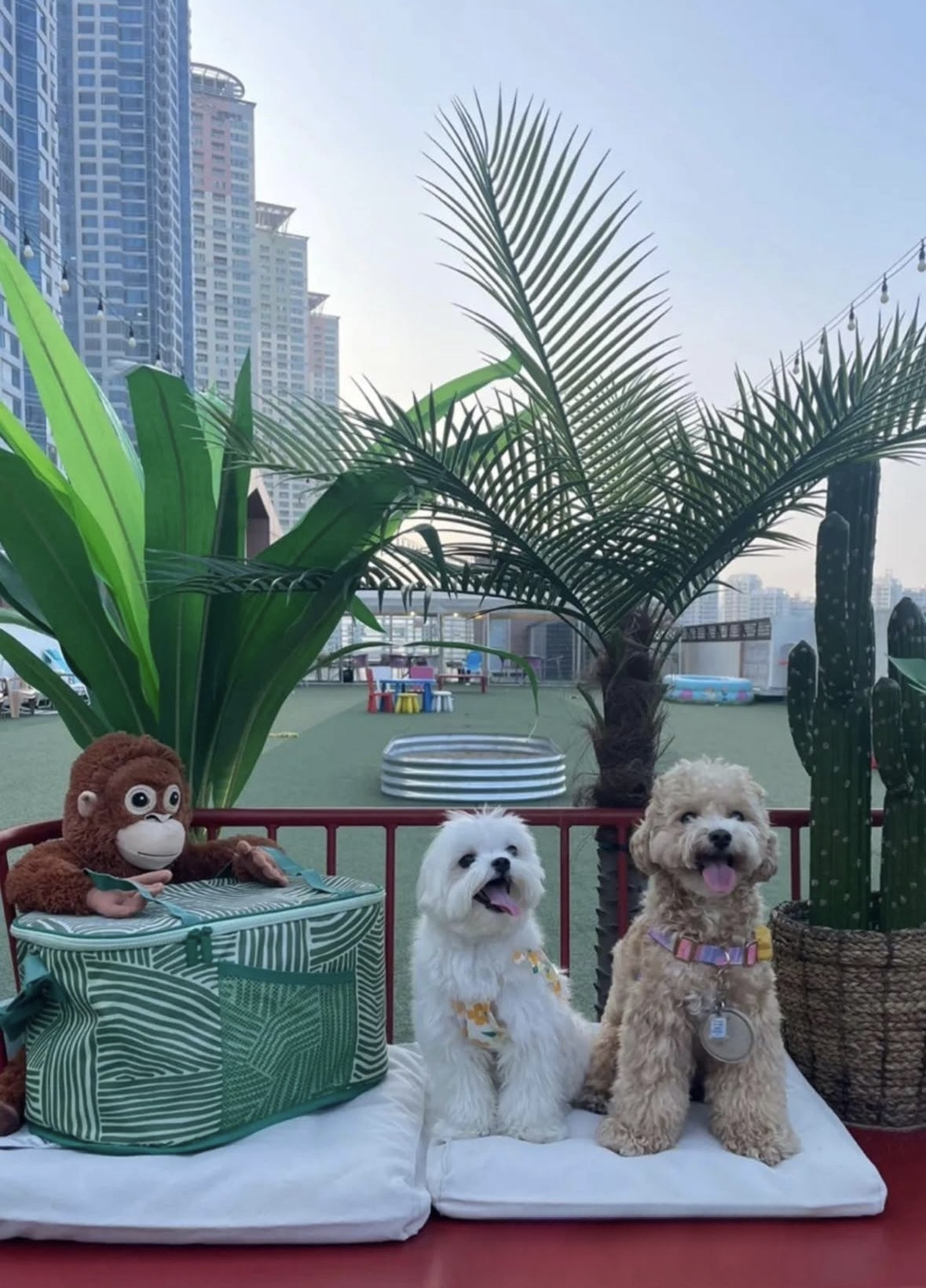 스포독 대표 이미지