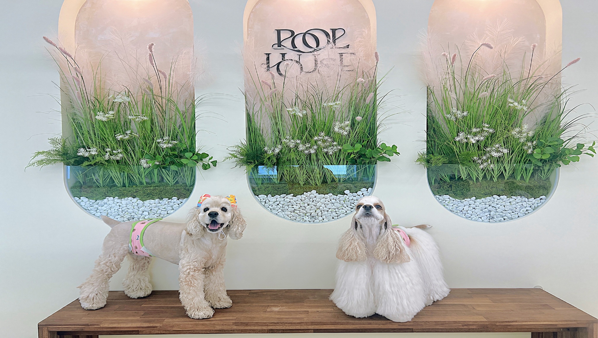 풀하우스 대표 이미지