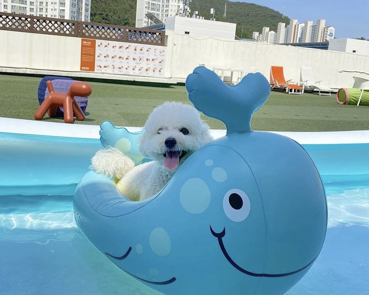 사진 2