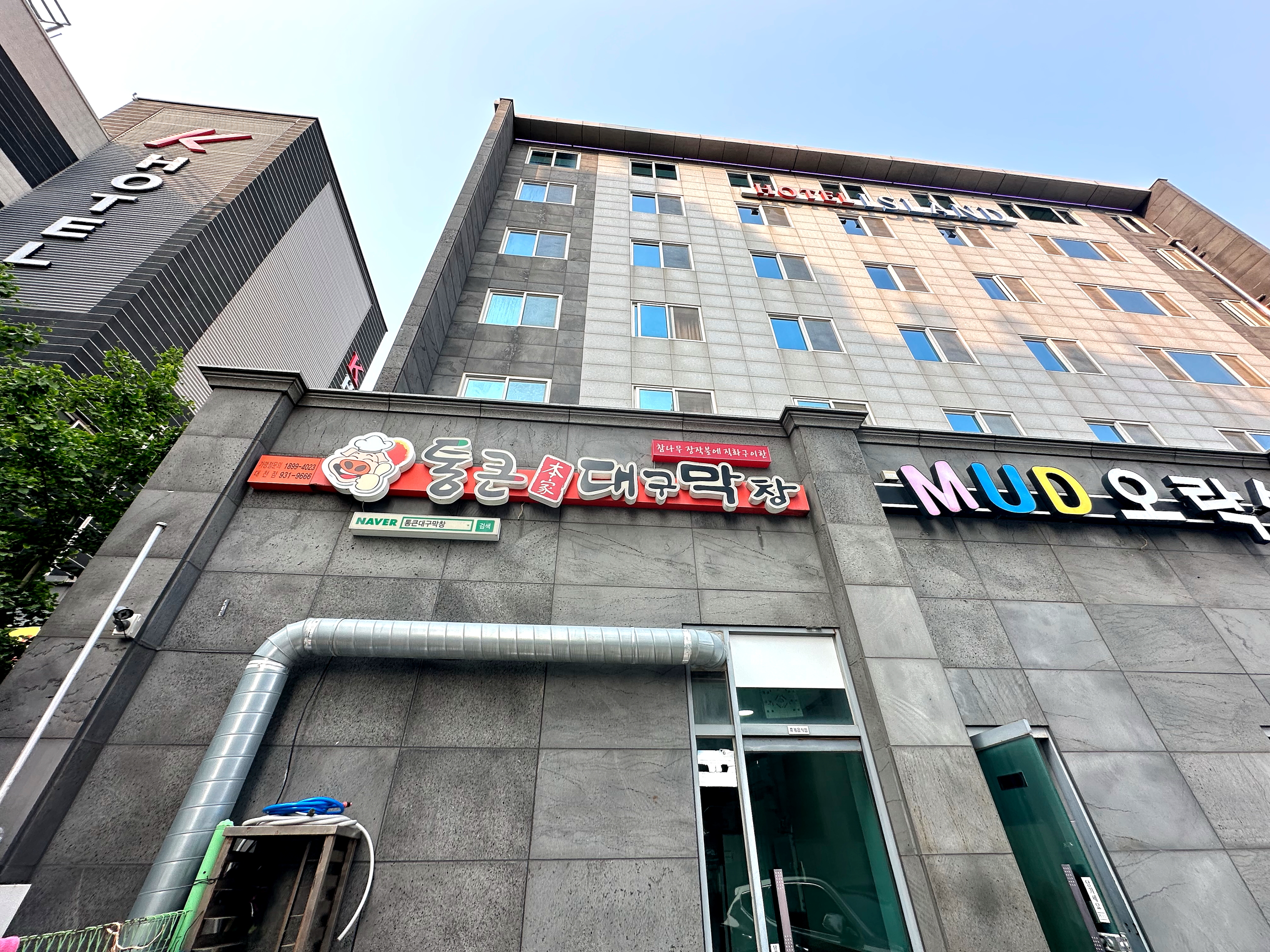 통큰대구막창 대천해수욕장점 반려동물 동반 애견카페