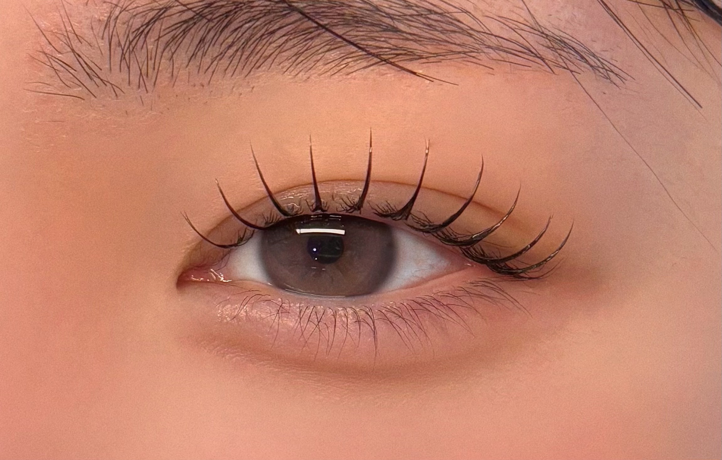 유지뷰티