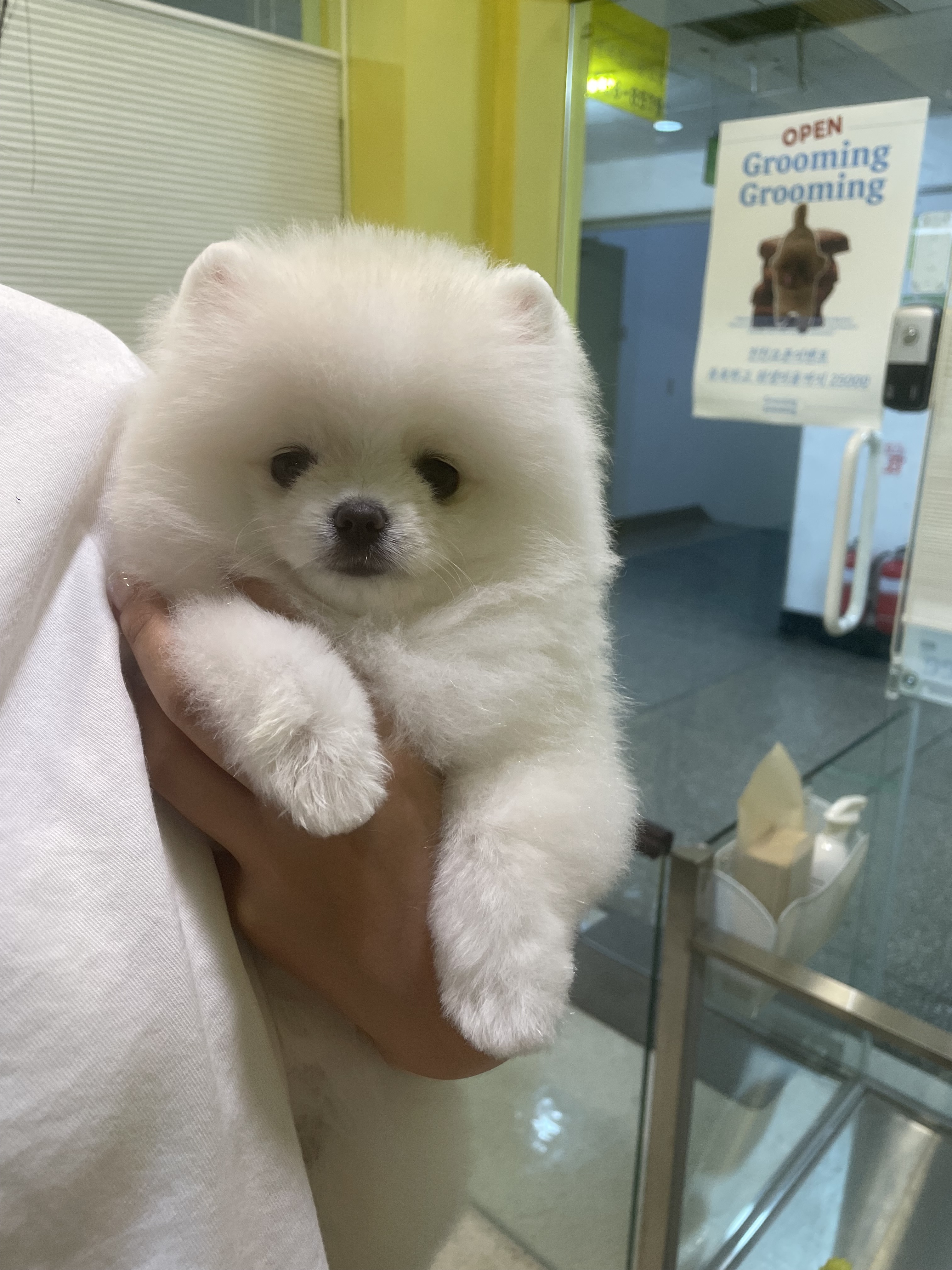 그루밍74 대표 이미지