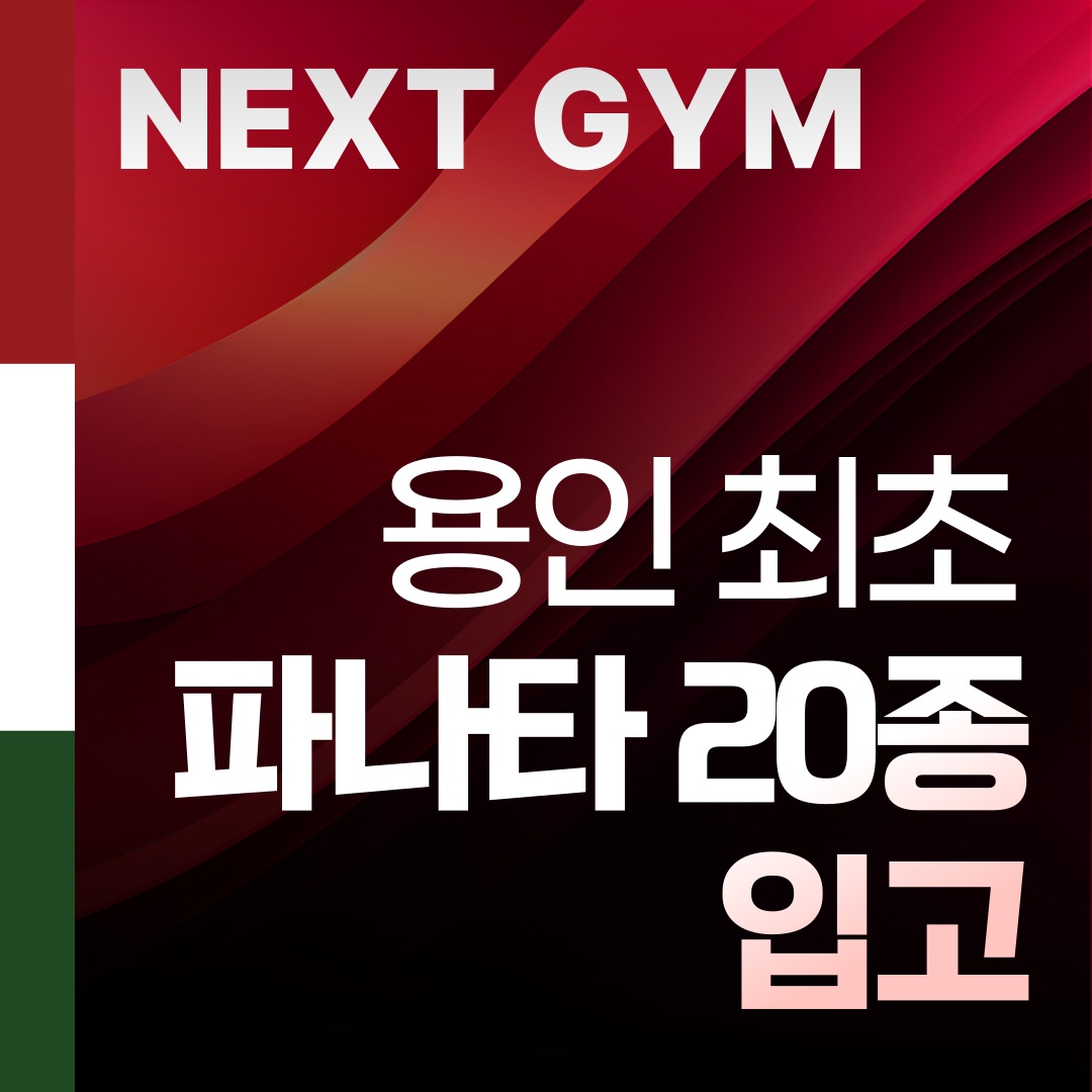 넥스트짐 용인기흥구청점 헬스 PT