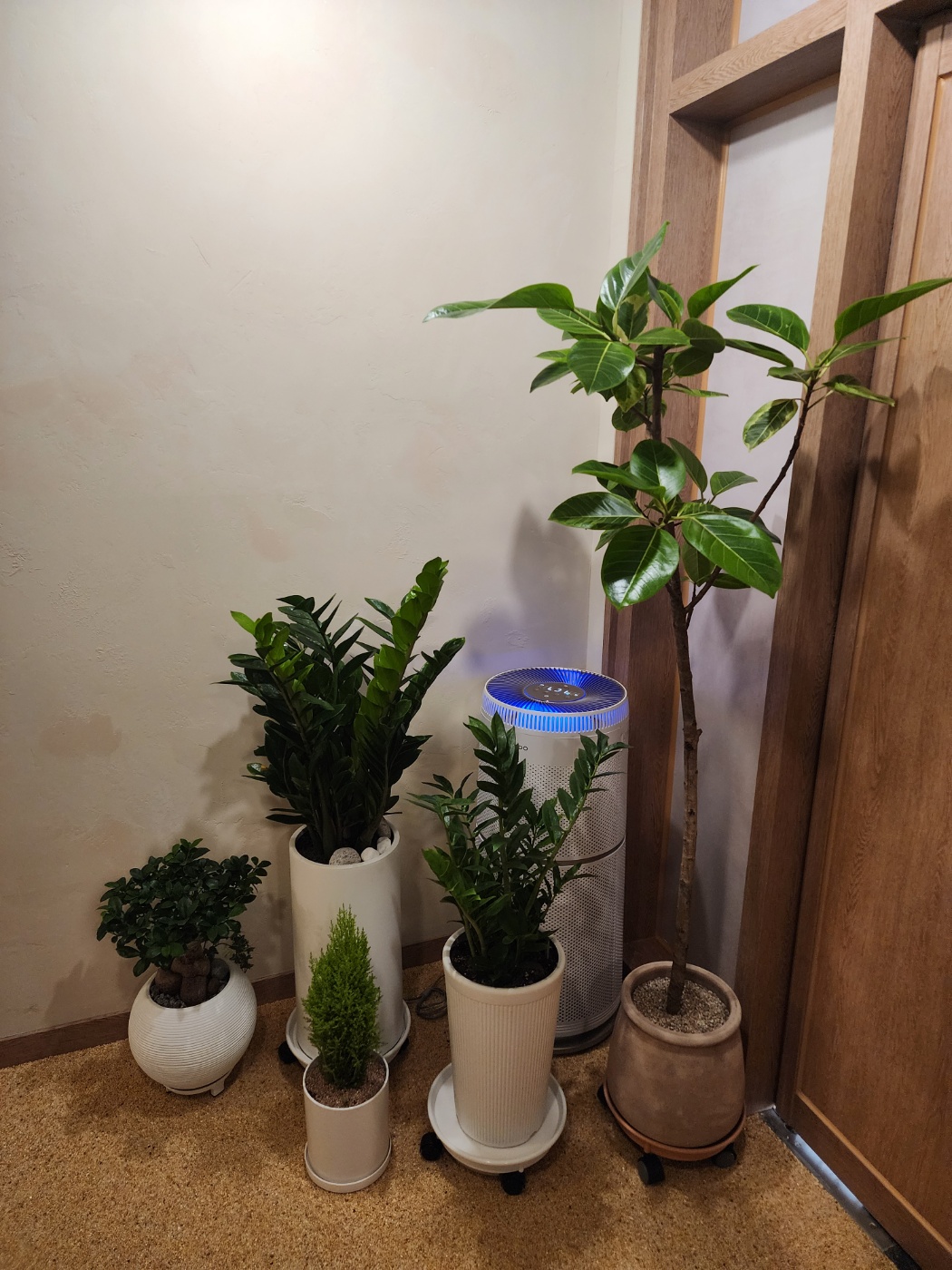 업체사진