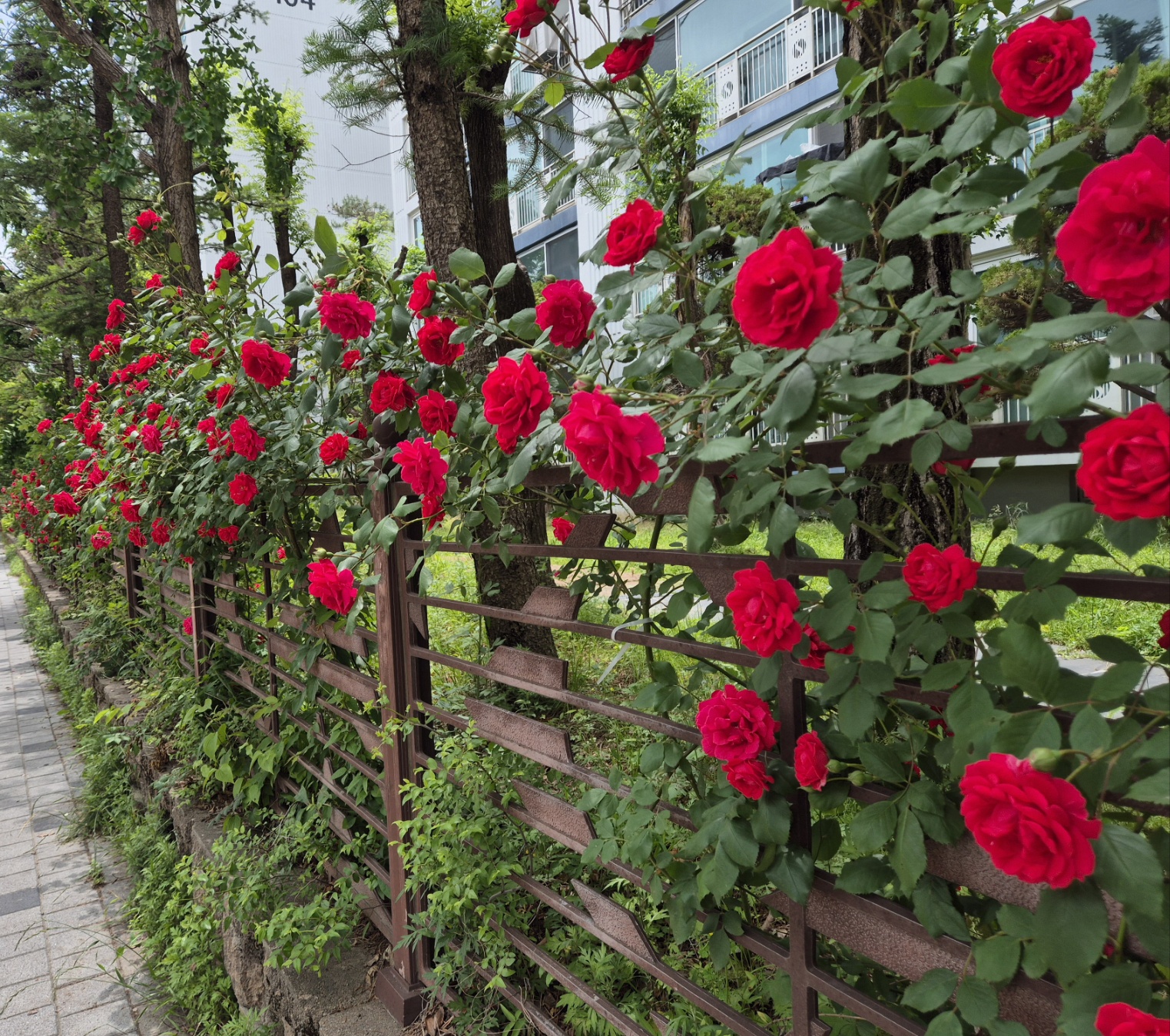 한솔꽃직매장