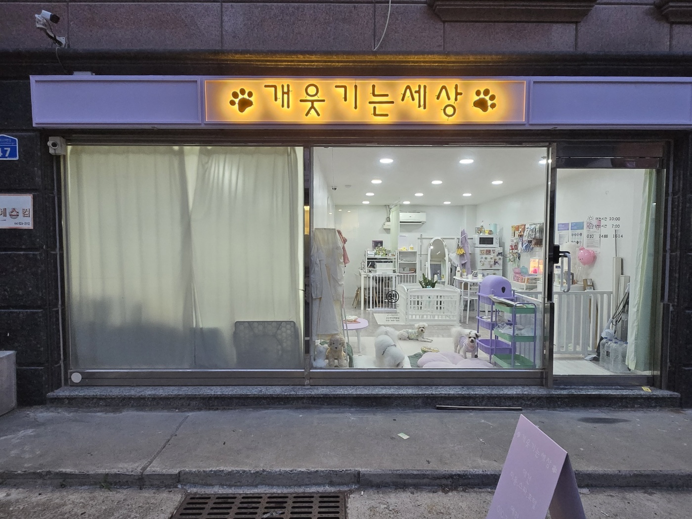 개웃기는세상 대표 이미지 - 강아지 호텔 미용 사진