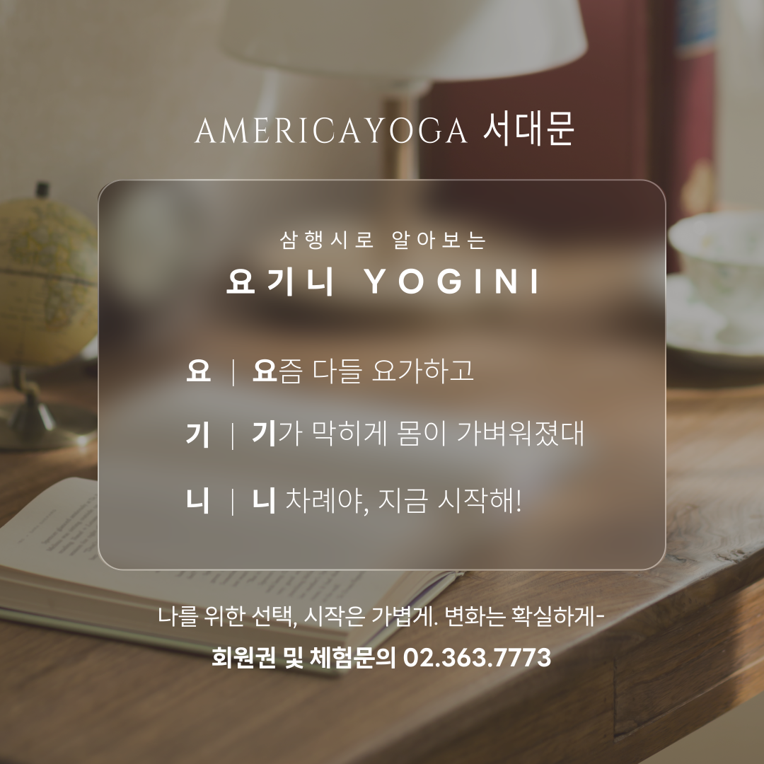 아메리카요가 서대문점 대표 이미지