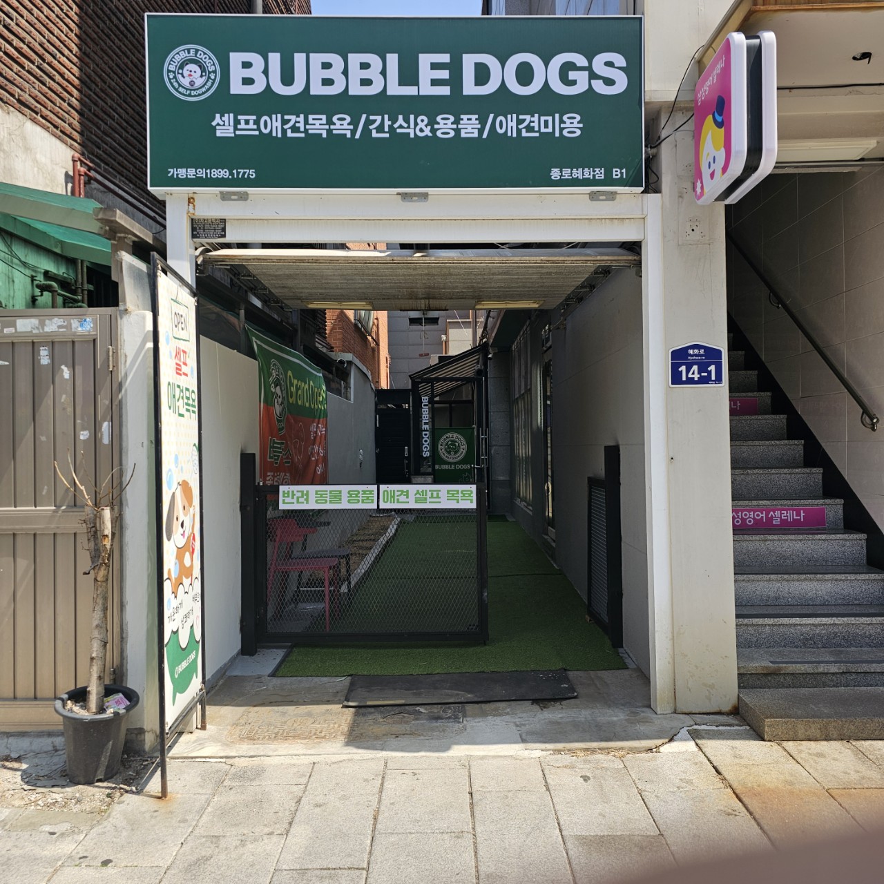 버블독스 종로혜화점 대표 이미지