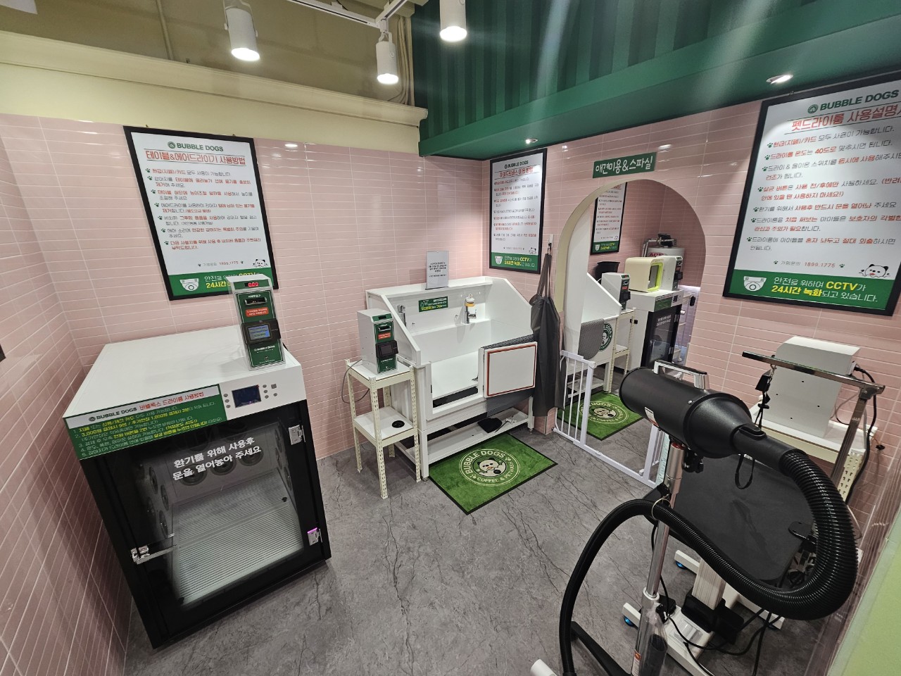 버블독스 종로혜화점 대표 이미지
